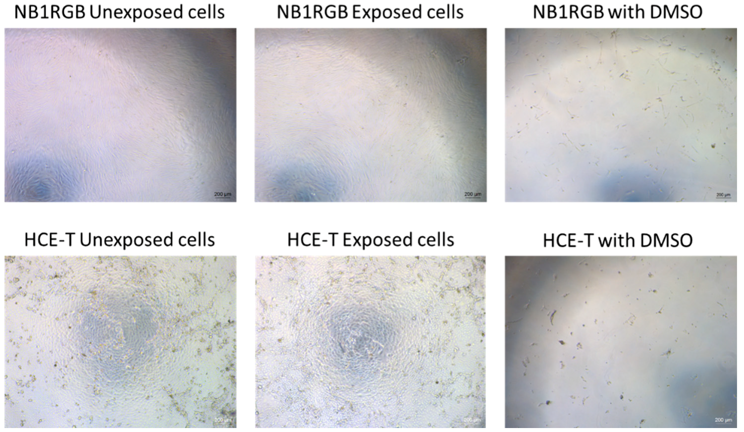 Photonics 06 00033 g005 Photonics 06 00033 g005