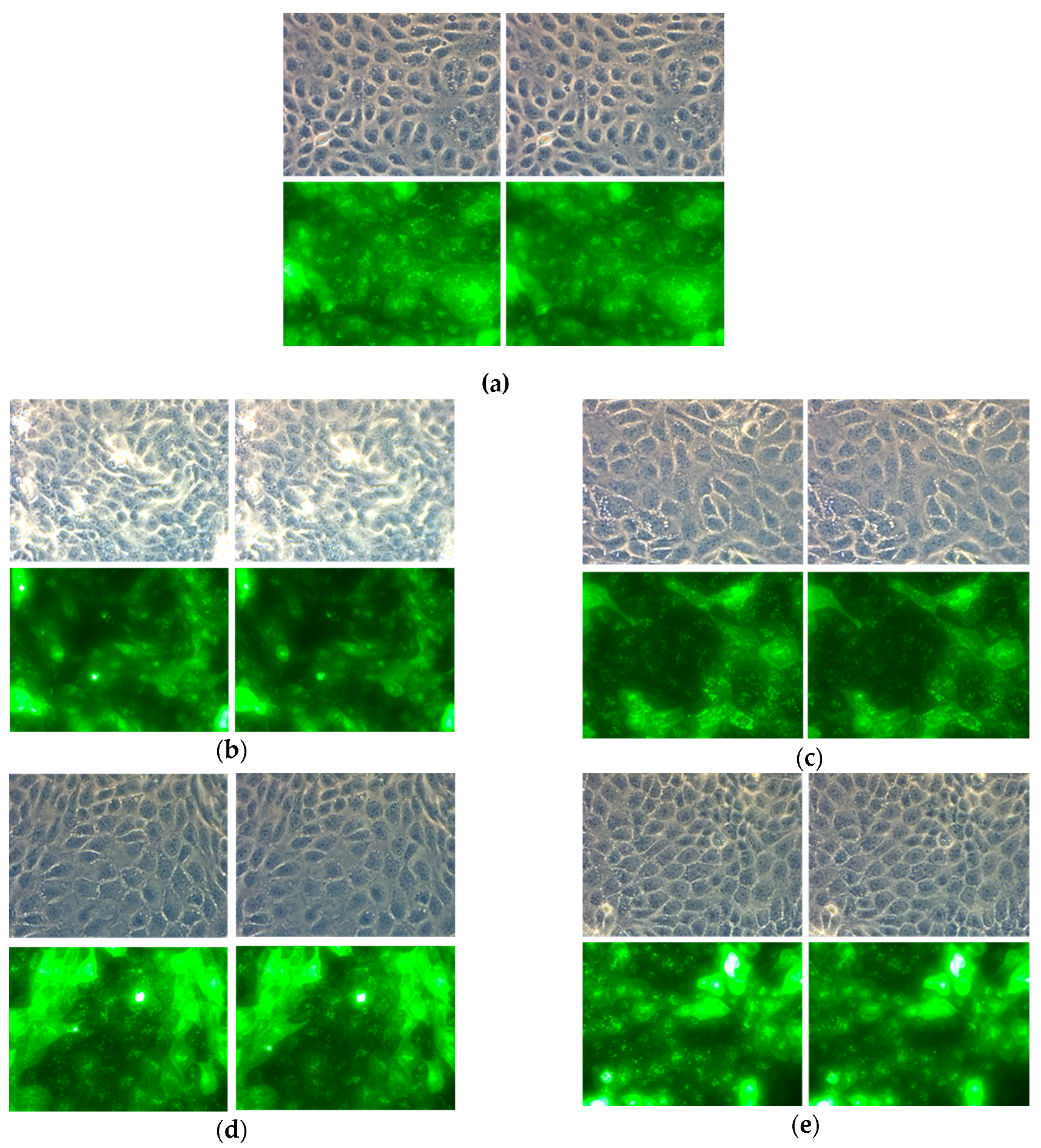 Photonics 06 00033 g007 Photonics 06 00033 g007