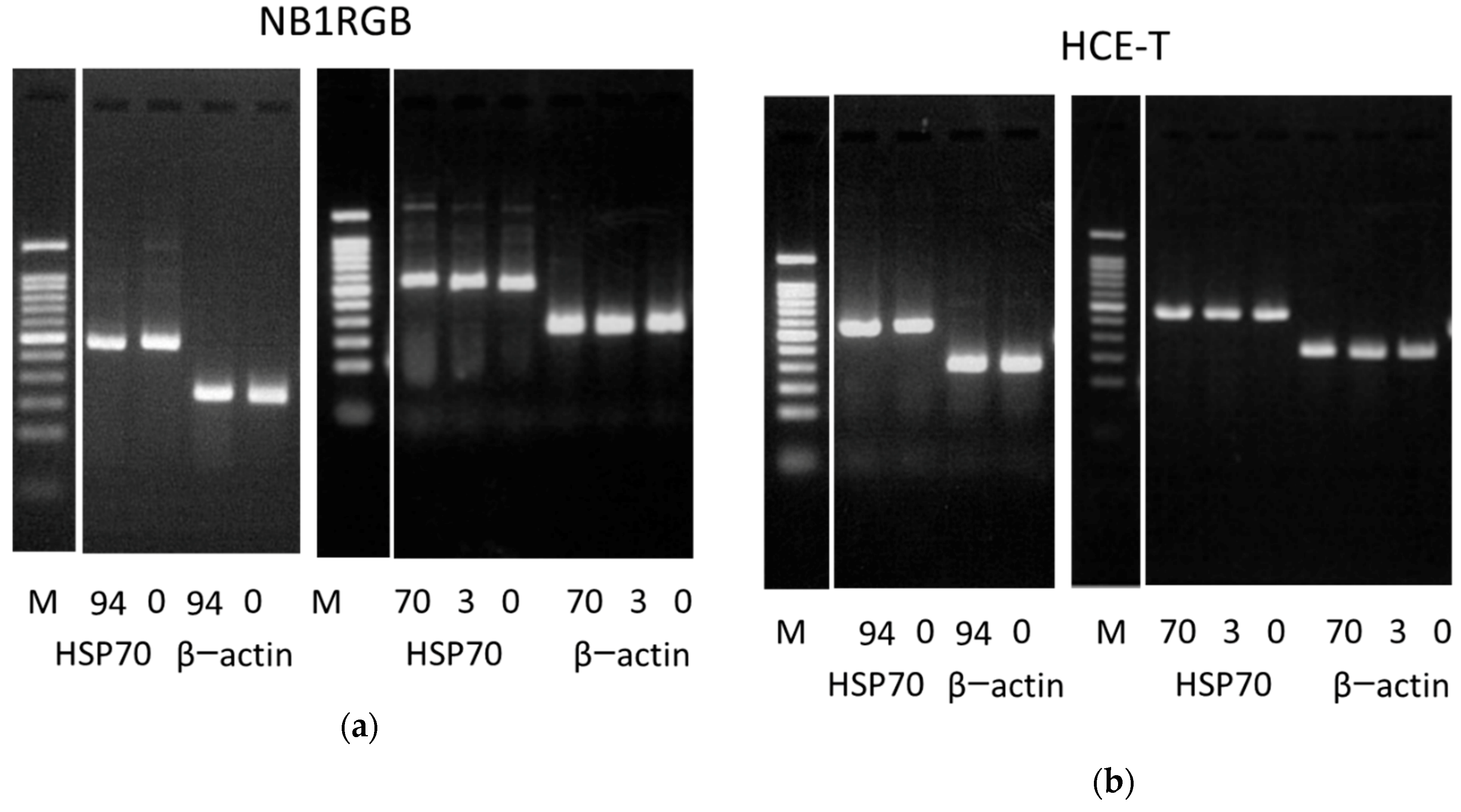 Photonics 06 00033 g009 Photonics 06 00033 g009