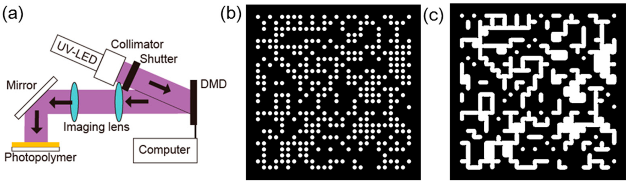 Photonics 06 00062 g005