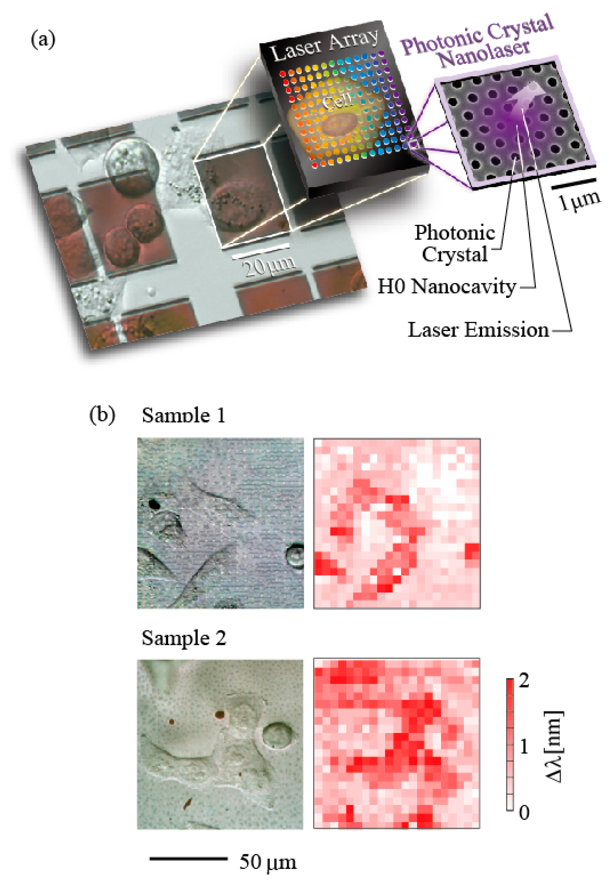 Photonics 06 00065 g006