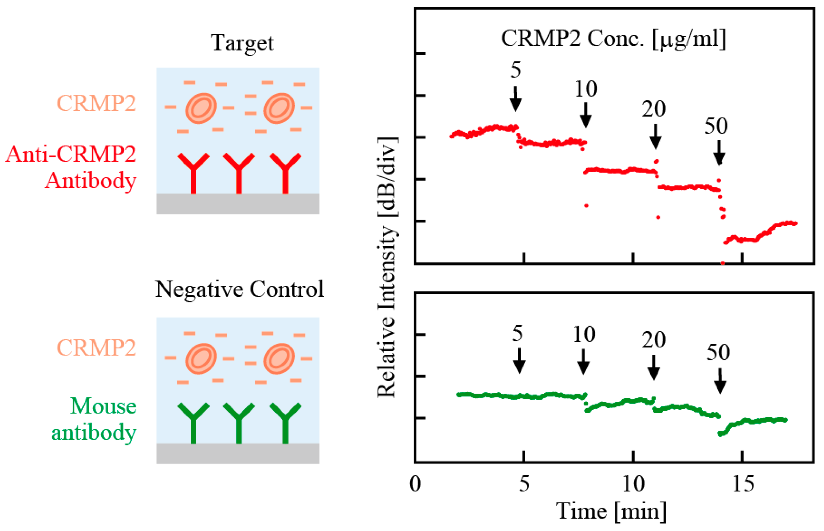 Photonics 06 00065 g009