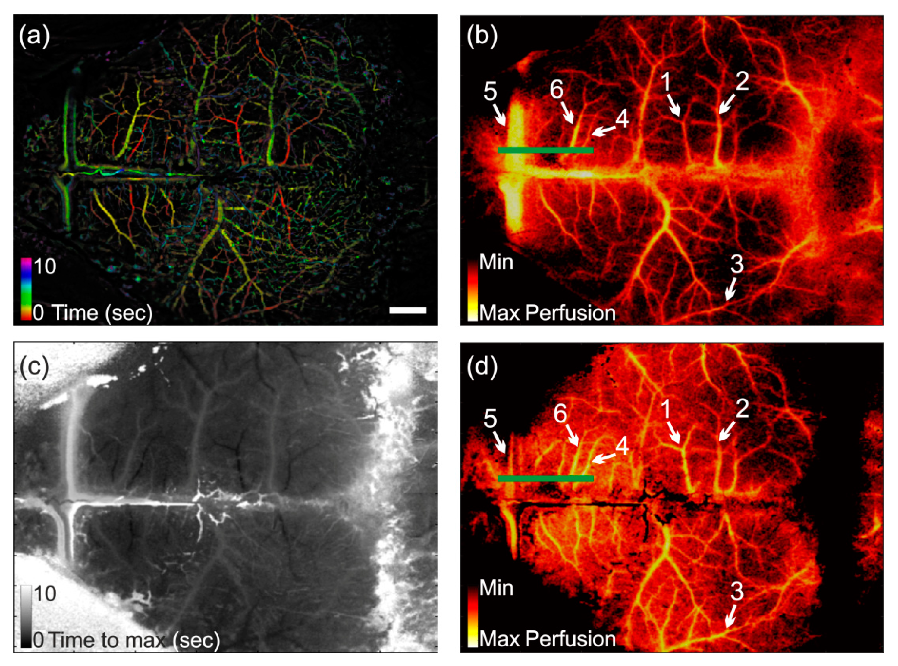 Photonics 06 00080 g002