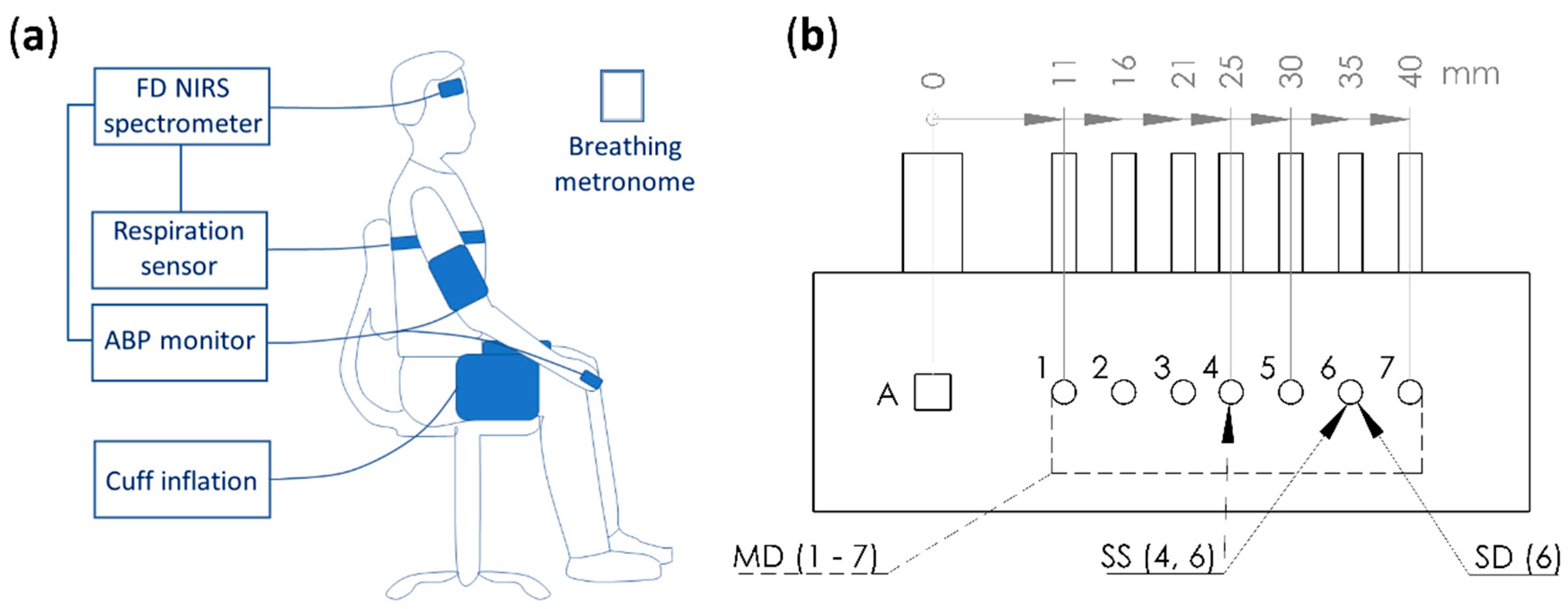 Photonics 06 00083 g001