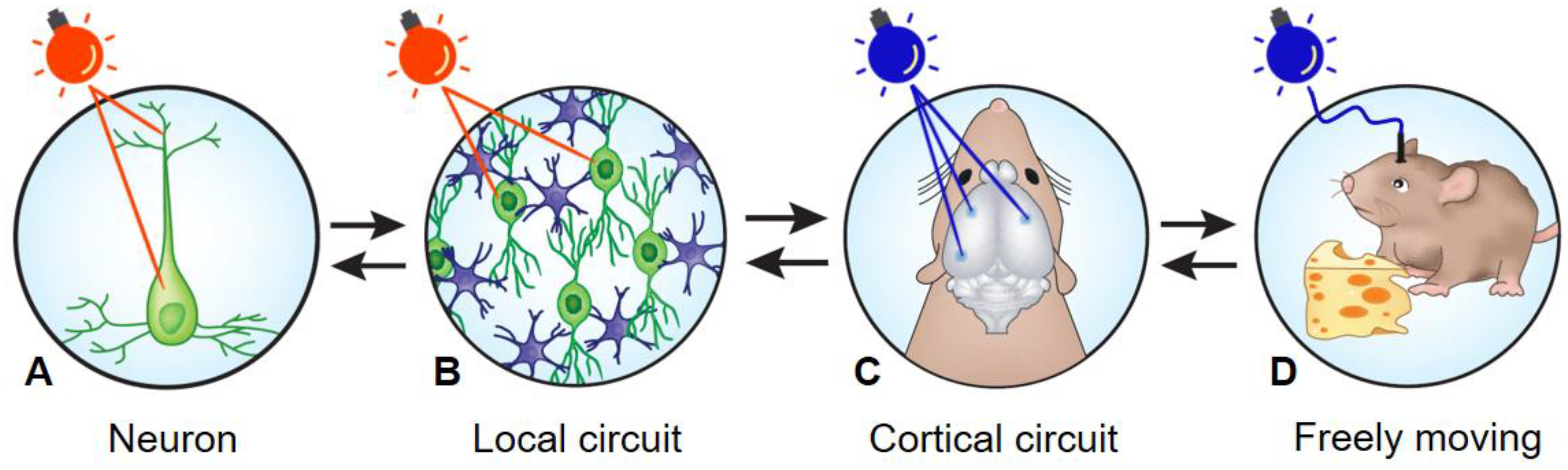 Photonics 06 00092 g001