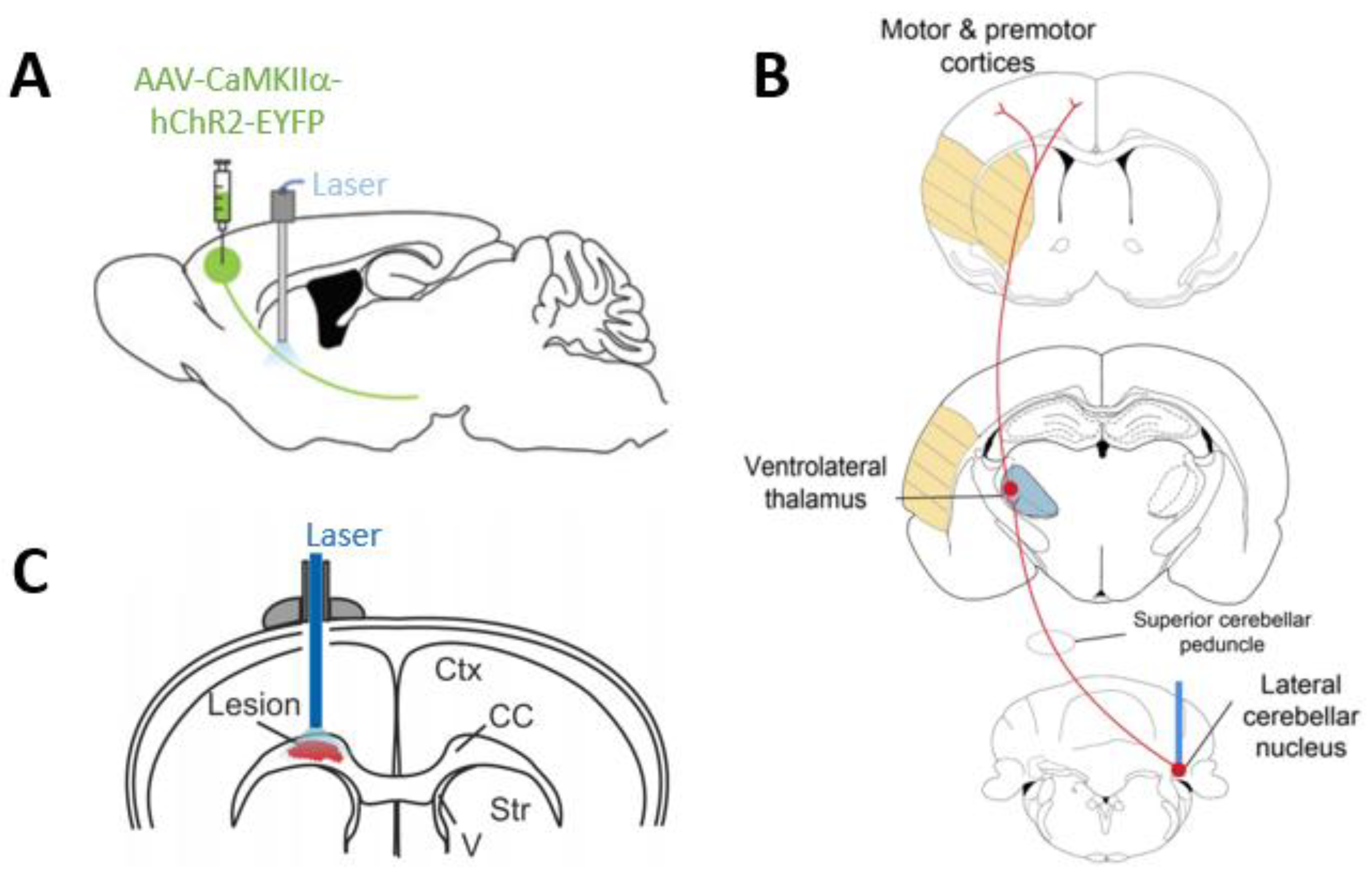 Photonics 06 00092 g004