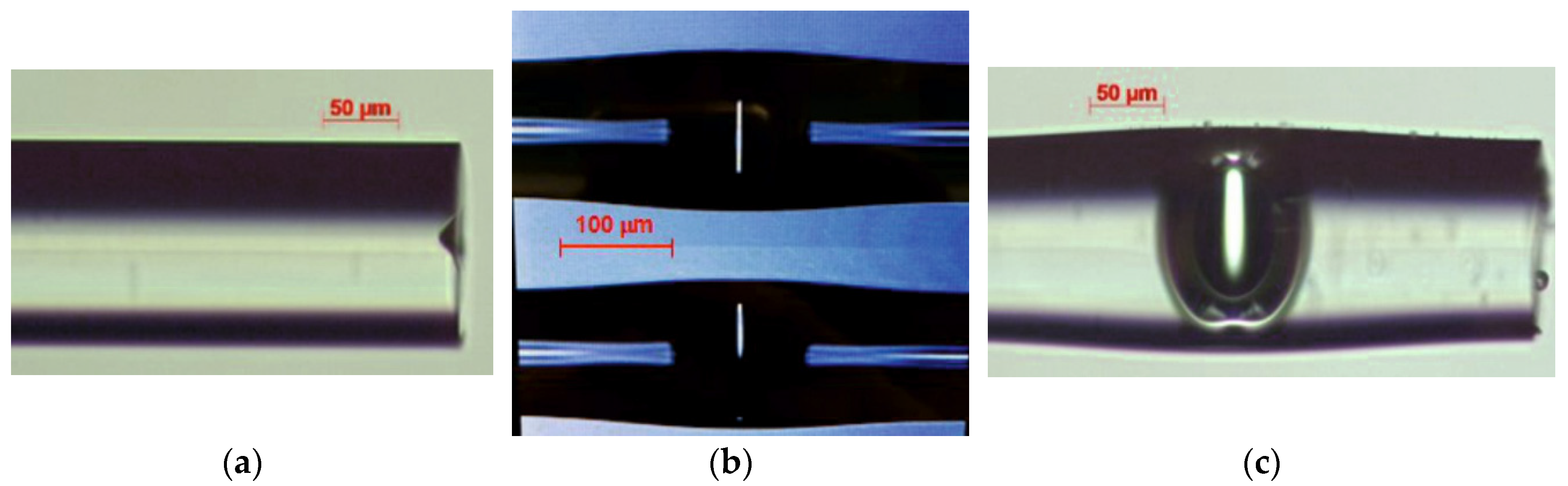 Photonics 06 00109 g005 Photonics 06 00109 g005