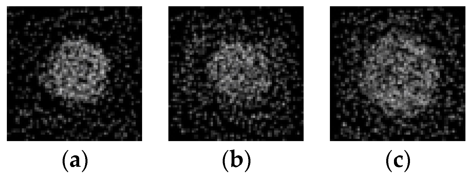 Photonics 06 00123 g009