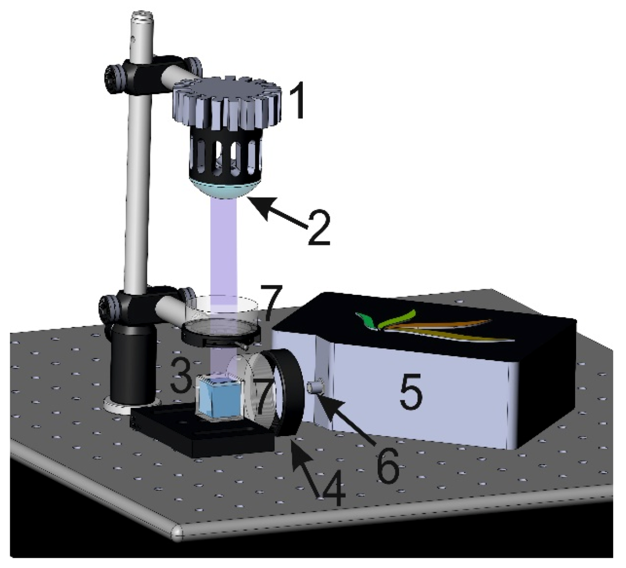 Photonics 07 00036 g002