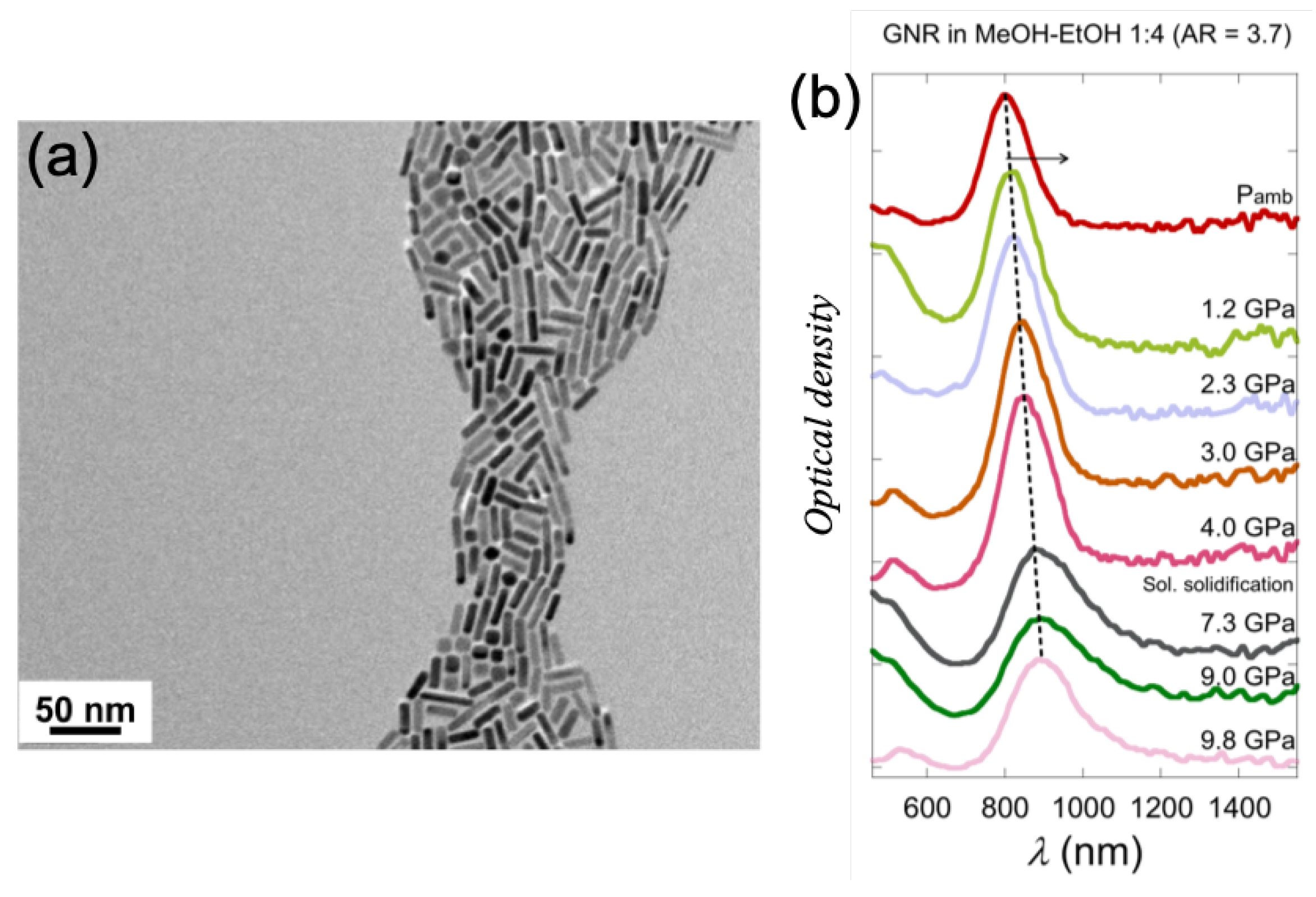 Photonics 07 00053 g003