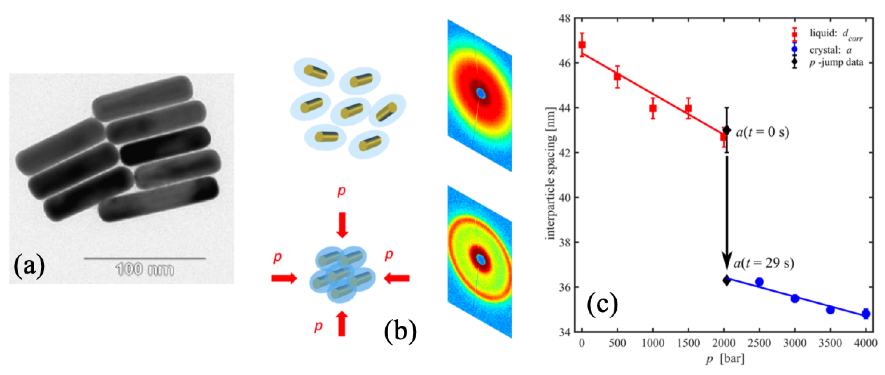 Photonics 07 00053 g007