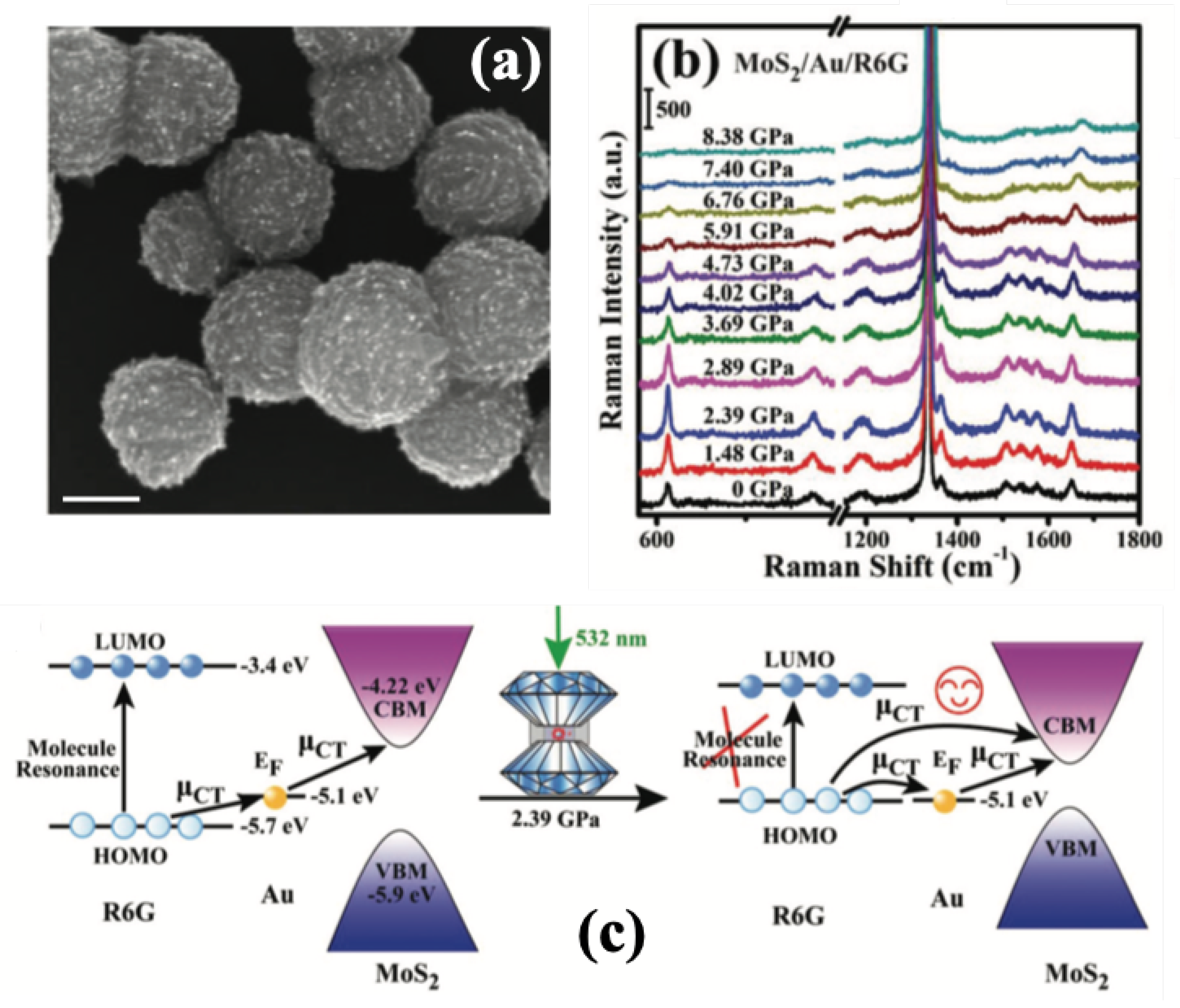 Photonics 07 00053 g010
