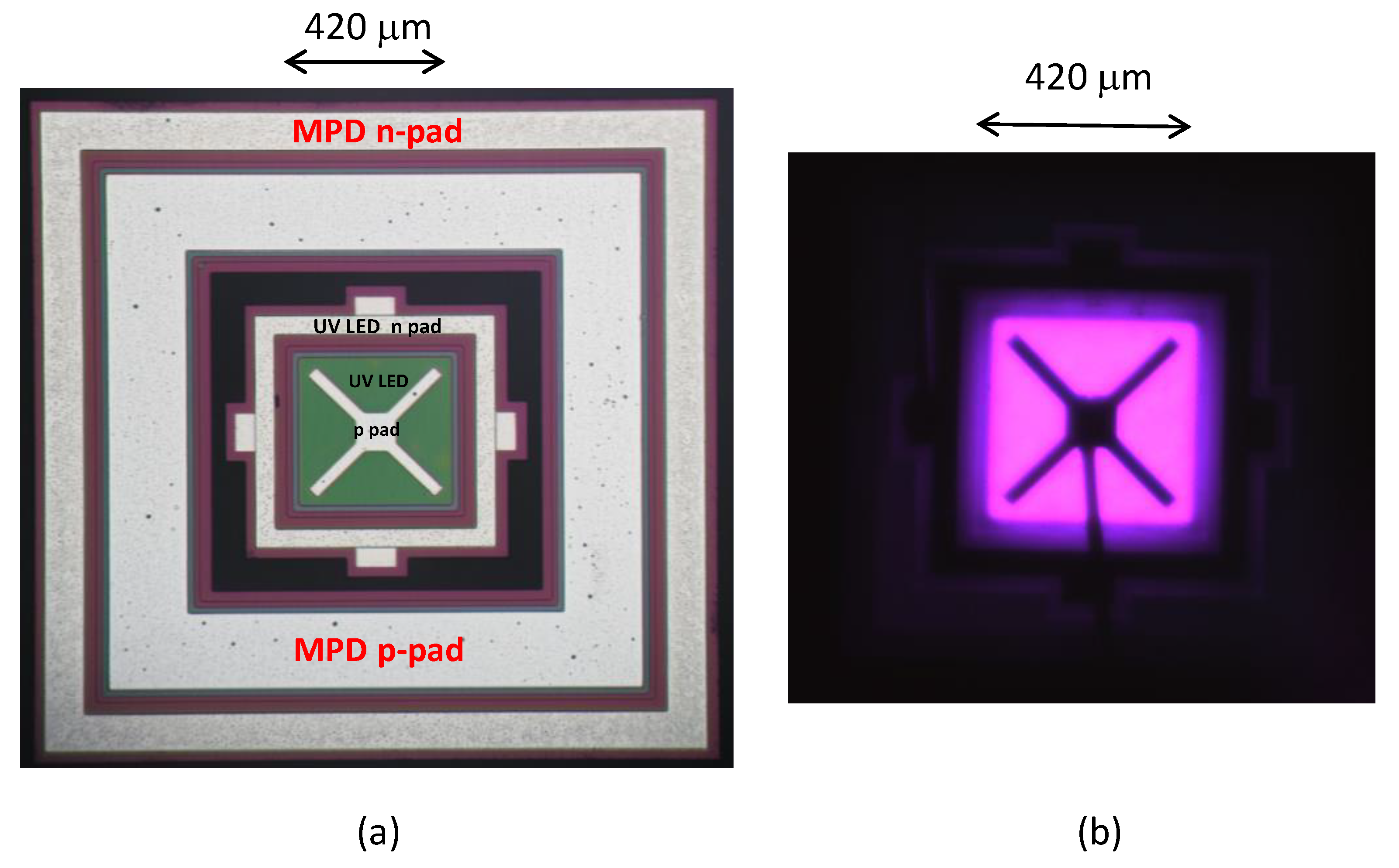 Photonics 07 00063 g002