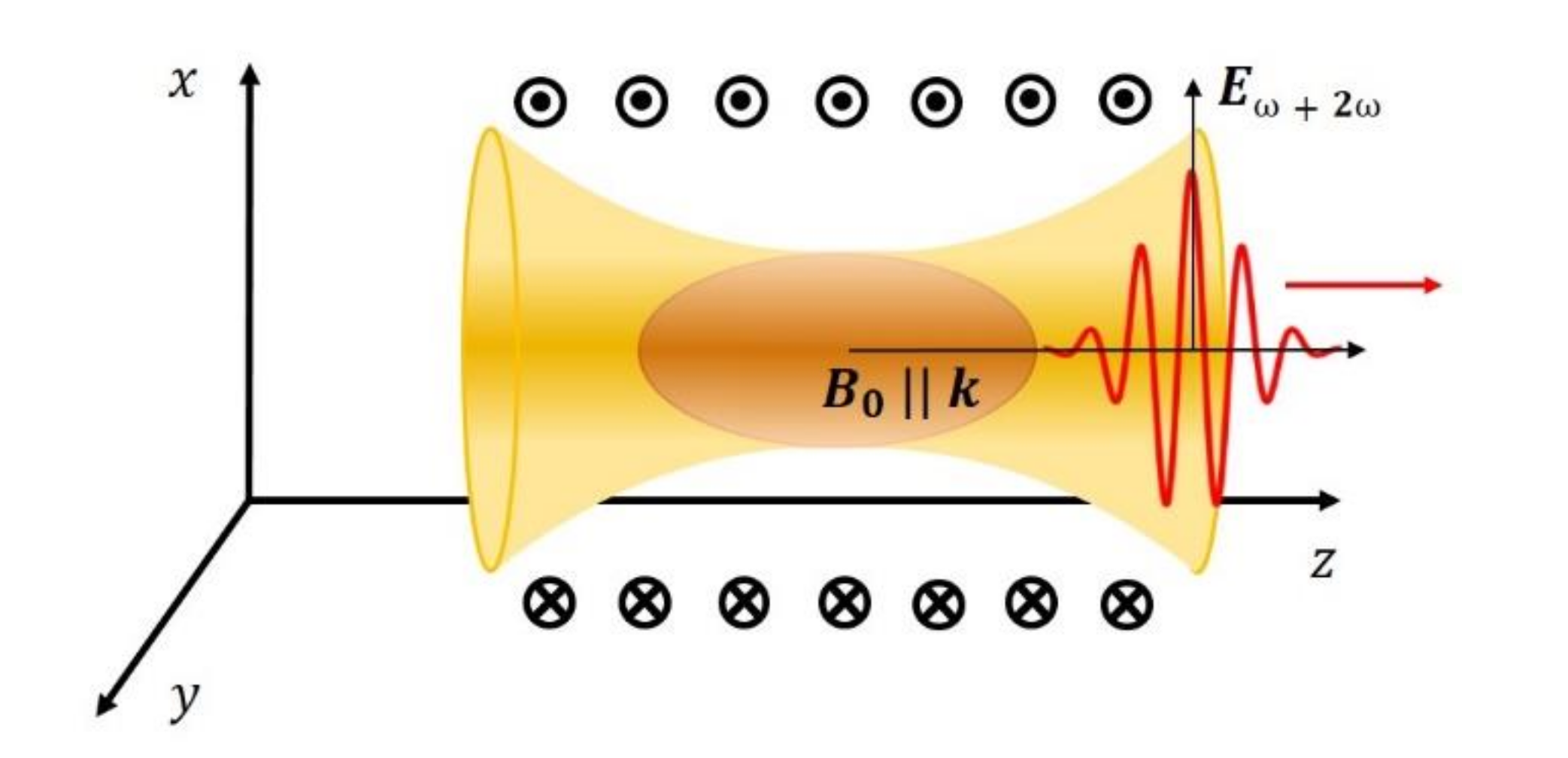 Photonics 07 00082 g001