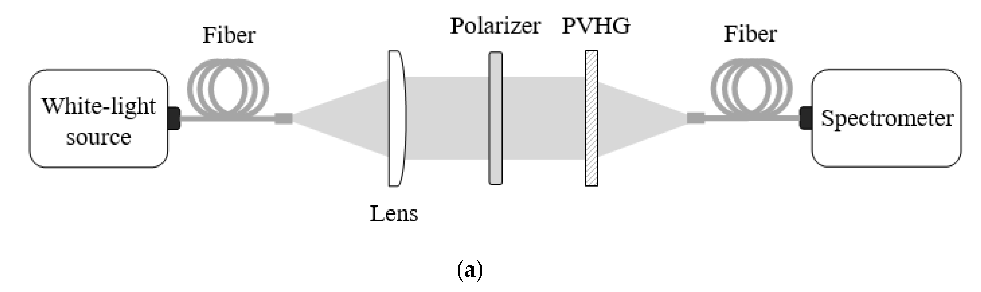 Photonics 07 00085 g006a Photonics 07 00085 g006a