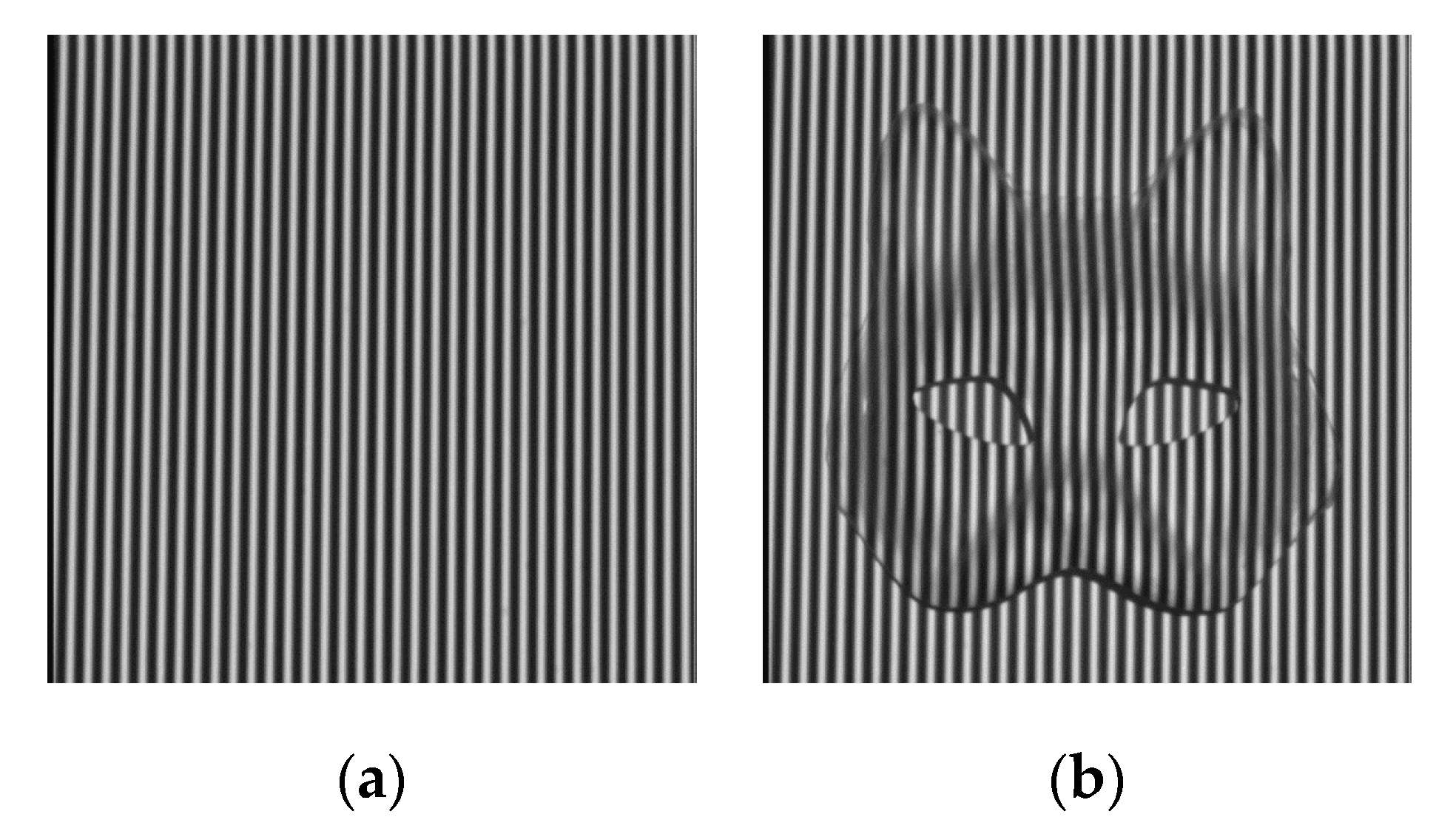 Photonics 07 00109 g011