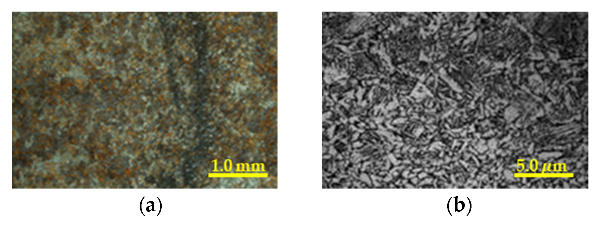 Photonics 07 00130 g005