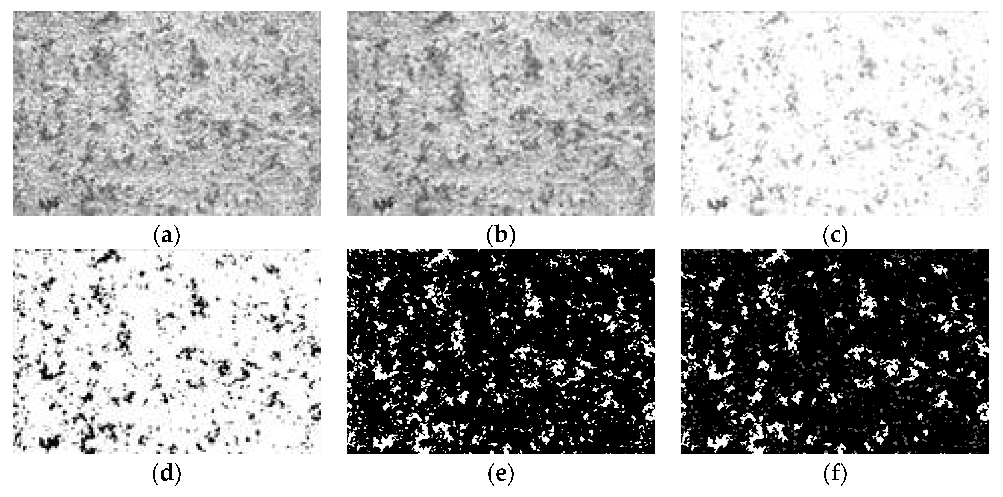 Photonics 07 00130 g008