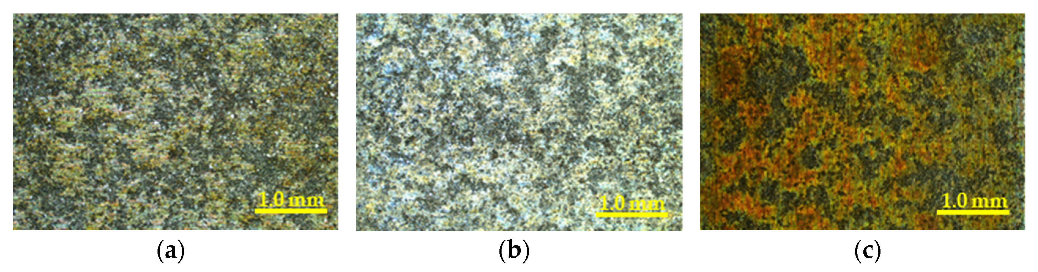 Photonics 07 00130 g010