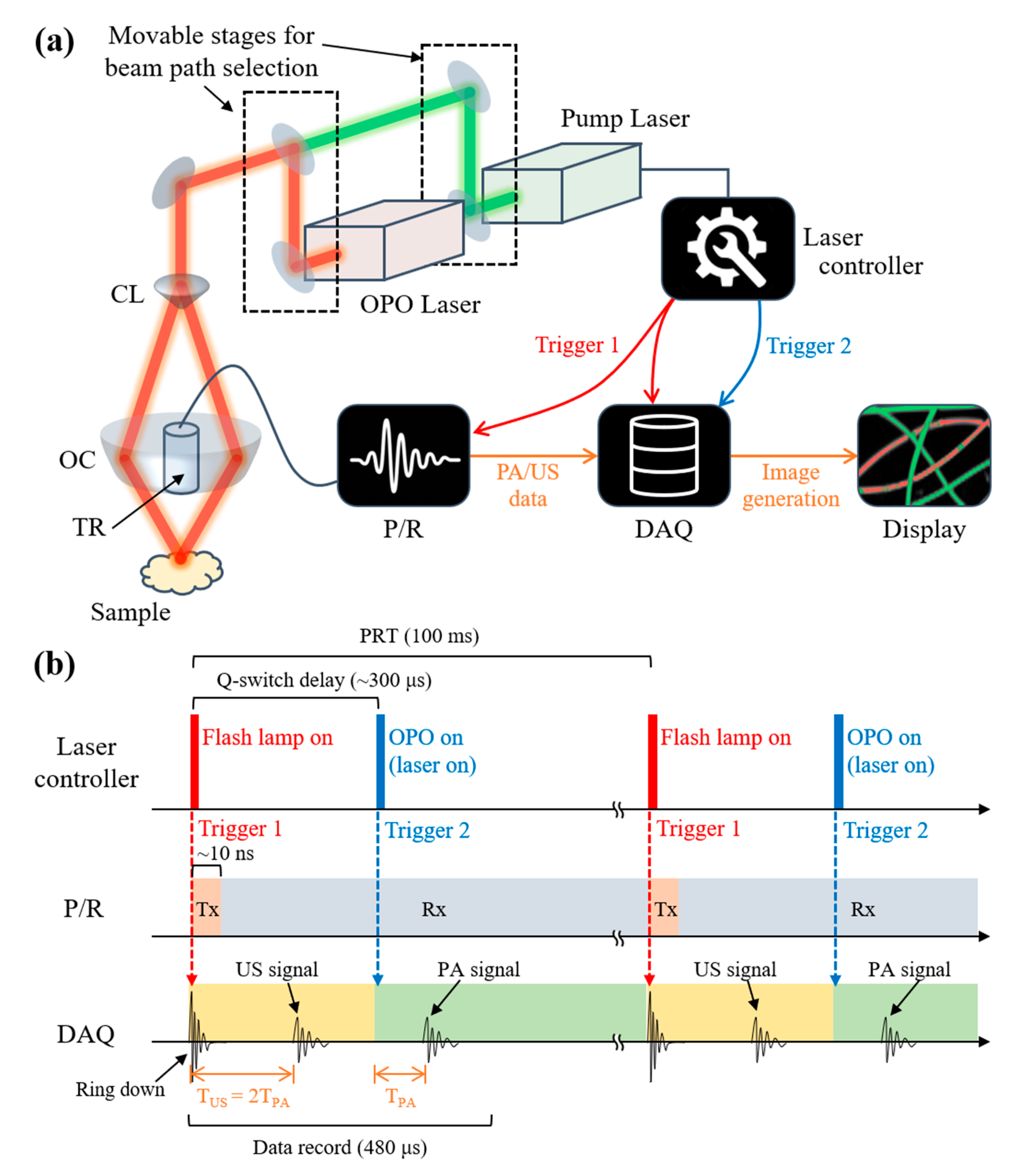 Photonics 08 00013 g001