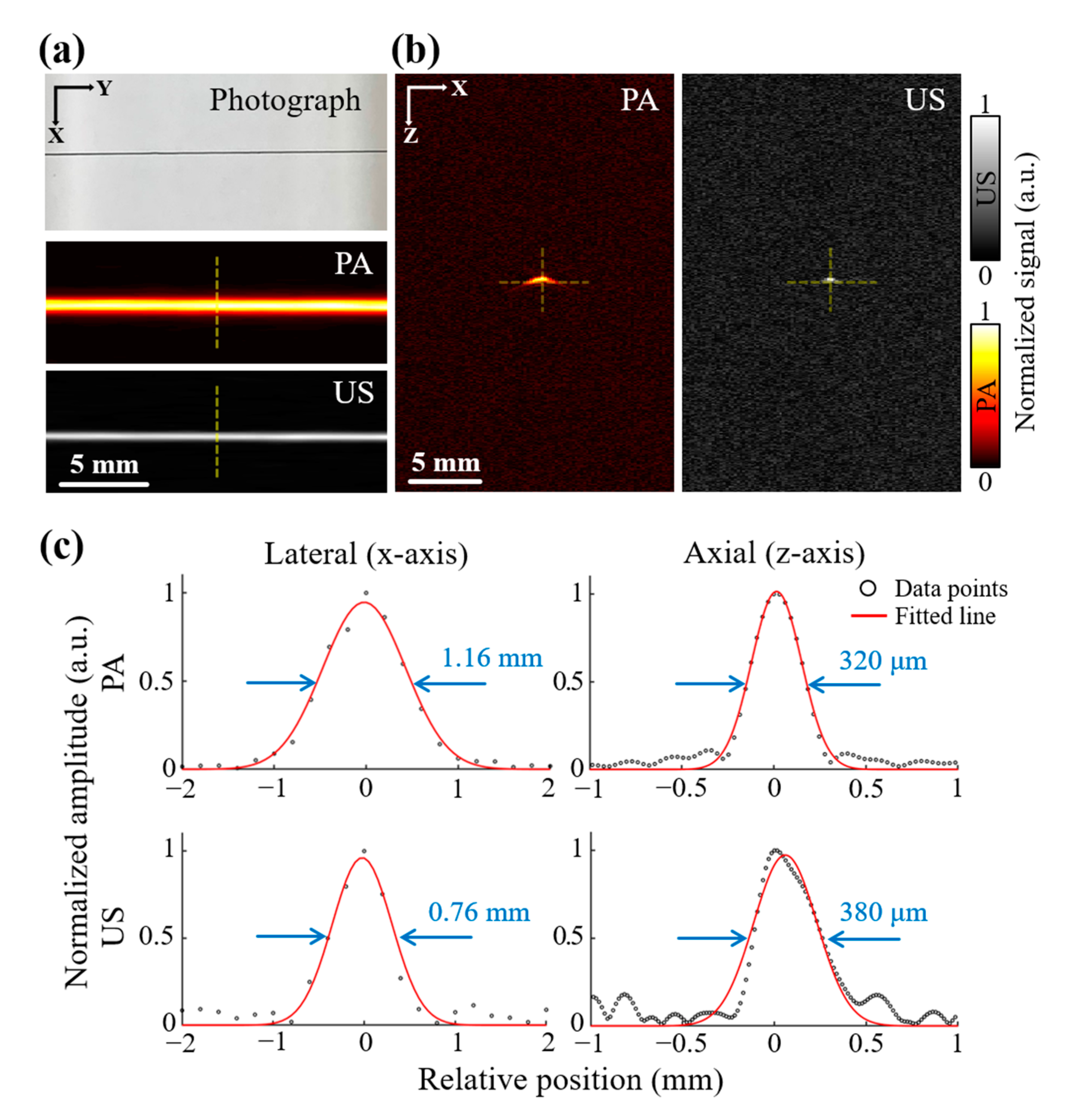 Photonics 08 00013 g002
