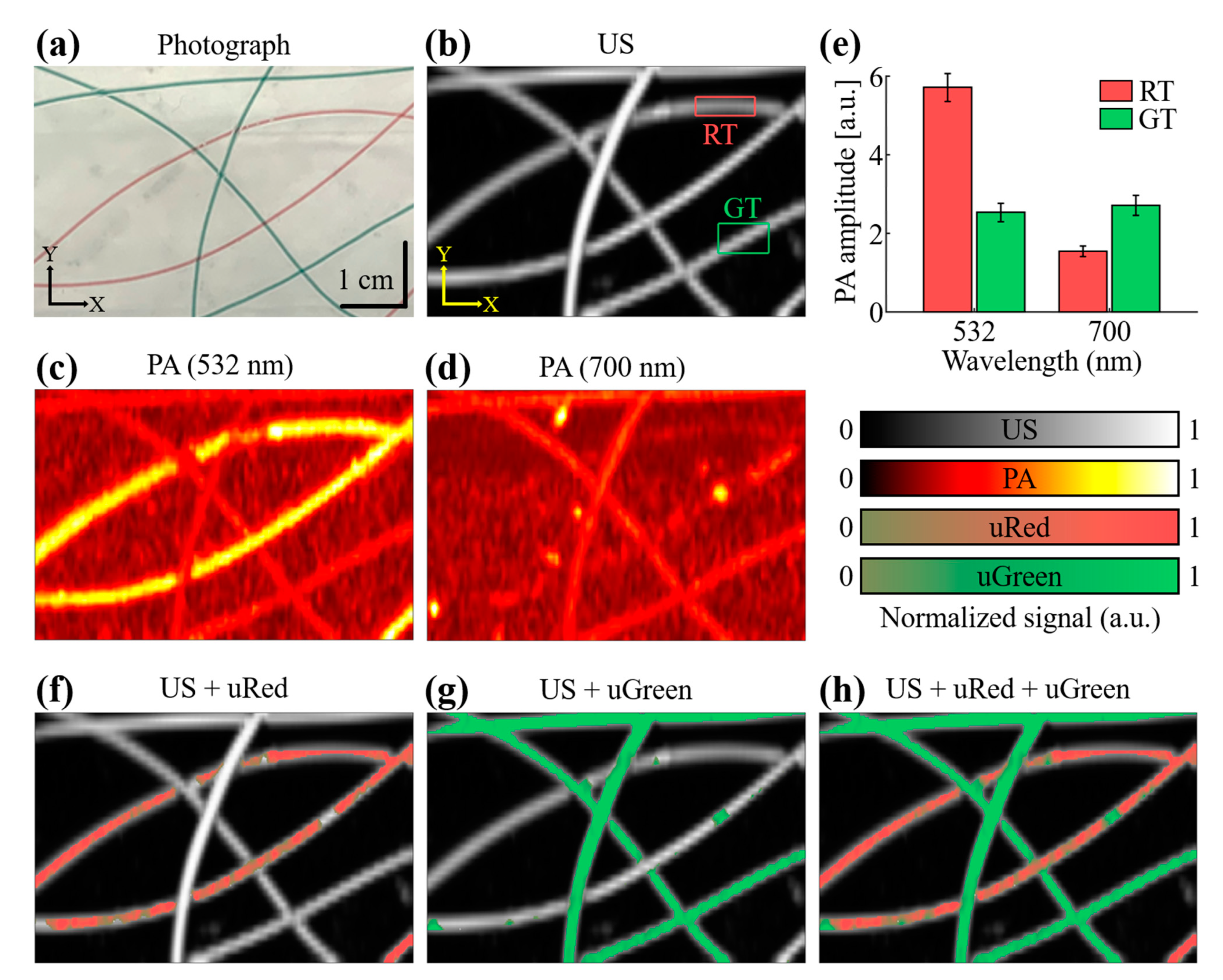 Photonics 08 00013 g003