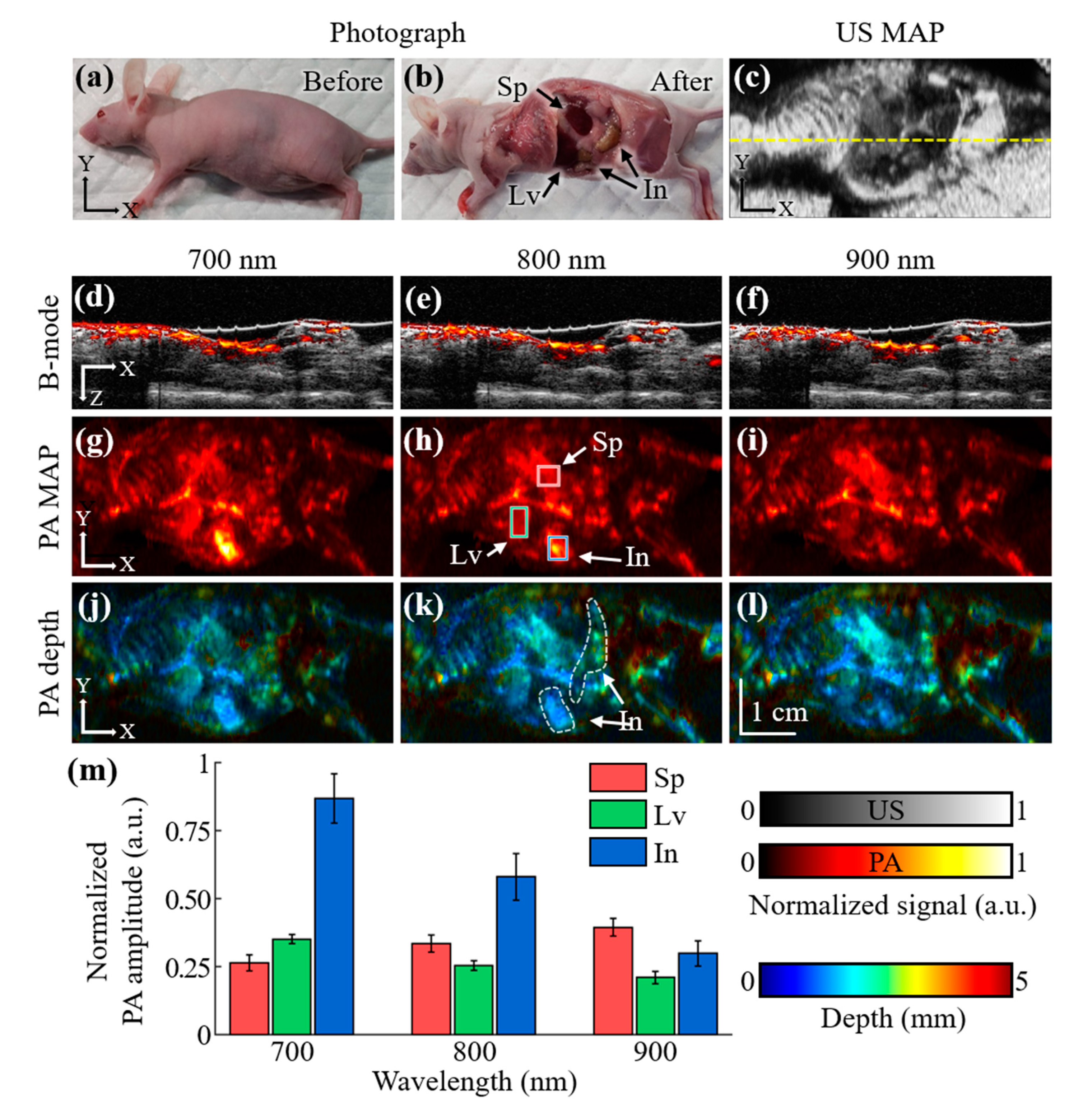 Photonics 08 00013 g004