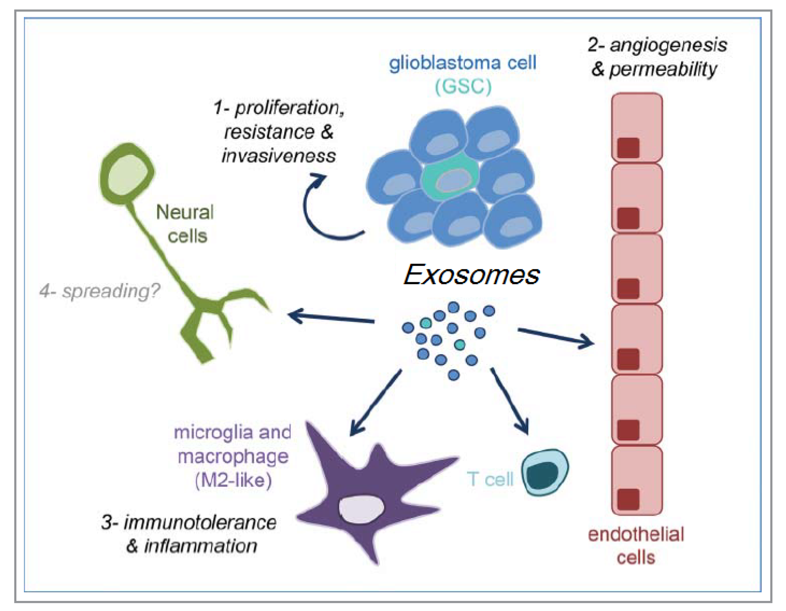 Photonics 08 00022 g001