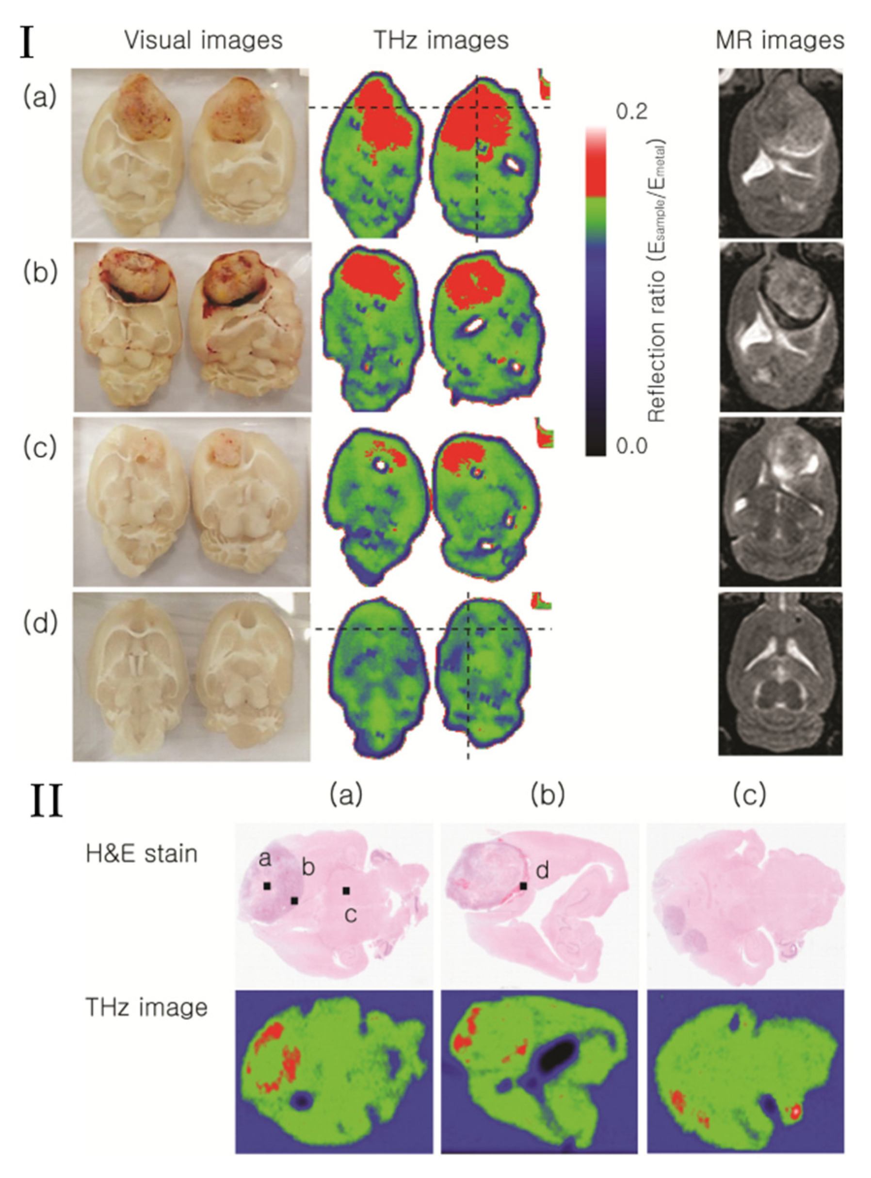 Photonics 08 00022 g003