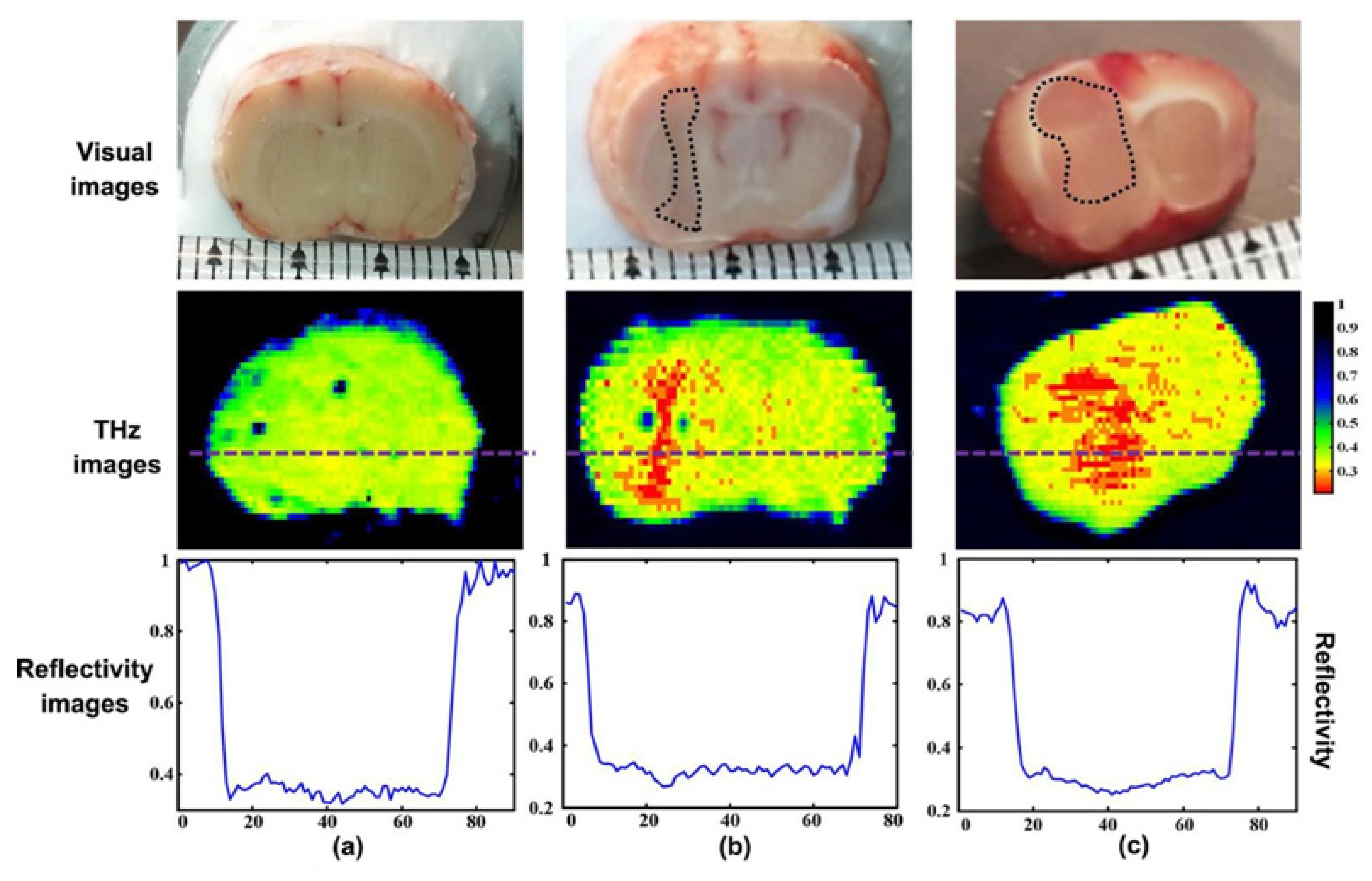 Photonics 08 00022 g006