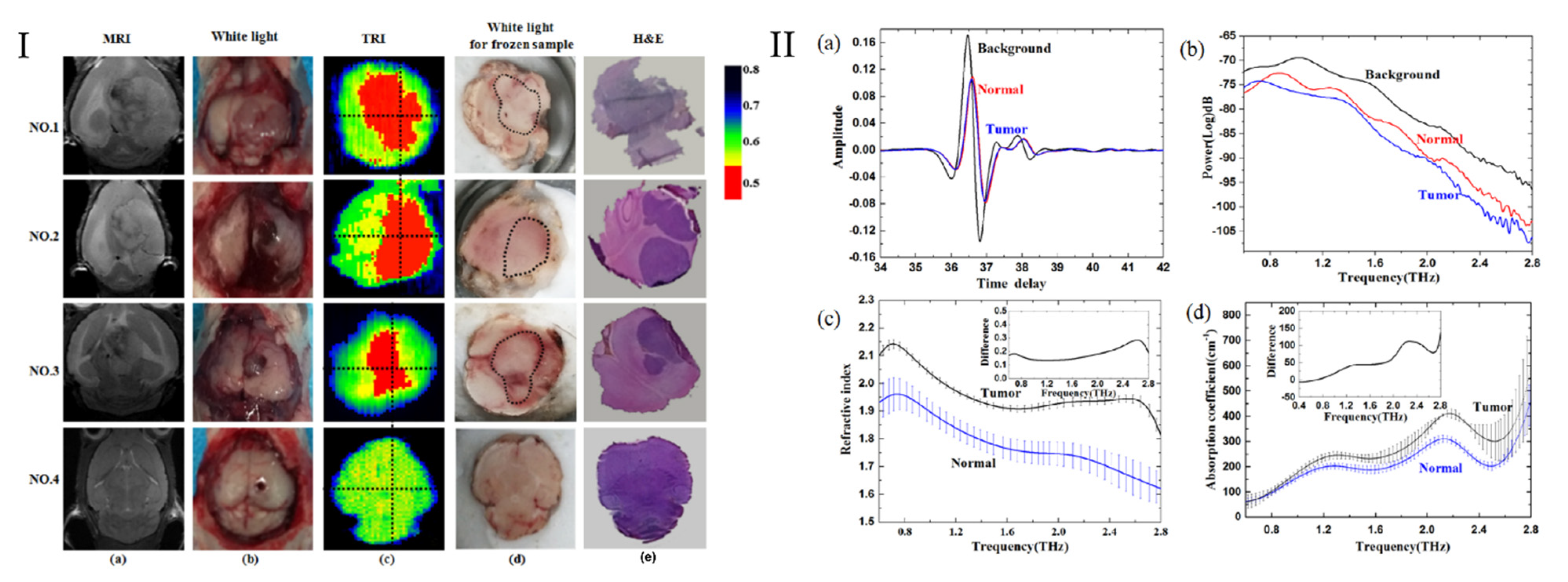 Photonics 08 00022 g008