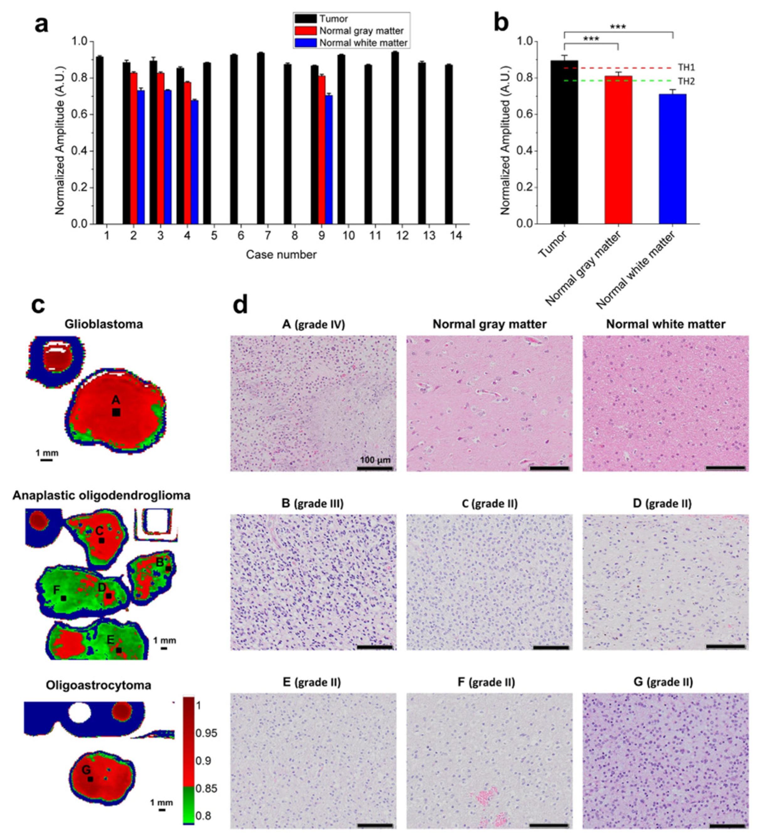 Photonics 08 00022 g009