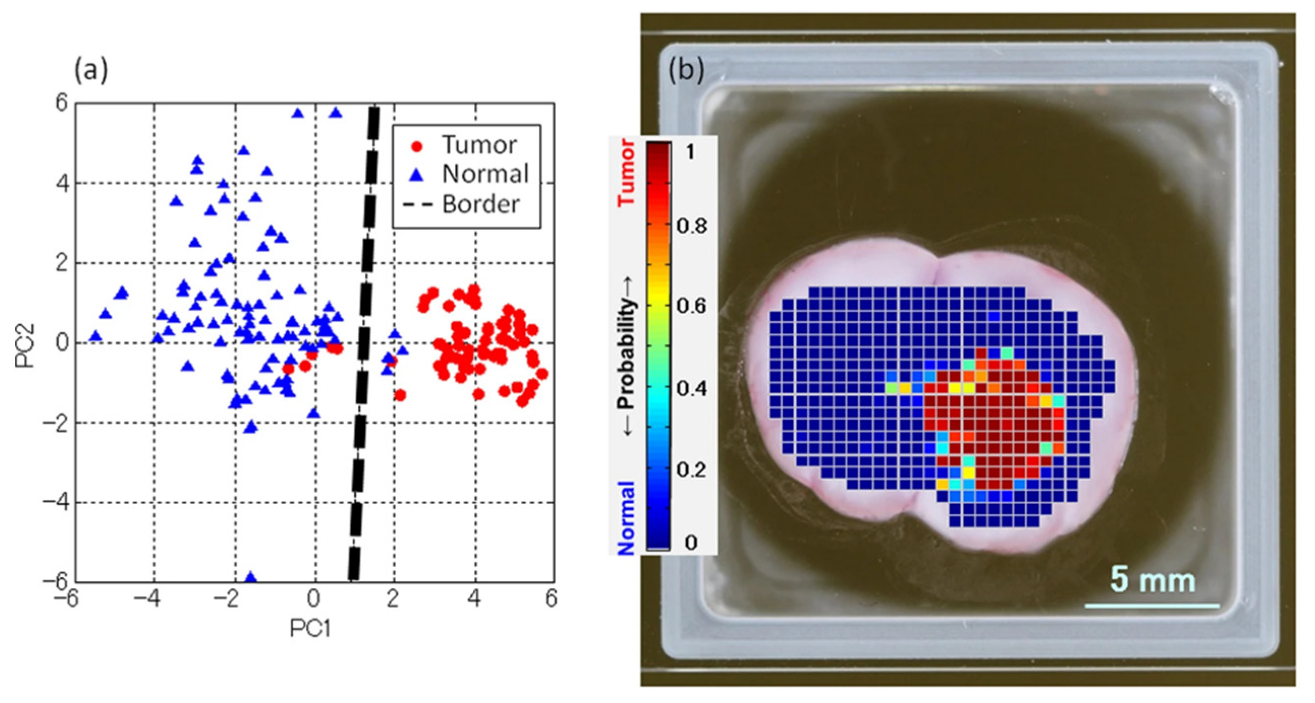 Photonics 08 00022 g020