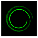 Photonics 08 00024 i032 Photonics 08 00024 i032