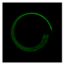 Photonics 08 00024 i085 Photonics 08 00024 i085