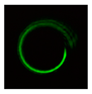 Photonics 08 00024 i086 Photonics 08 00024 i086