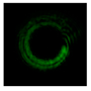 Photonics 08 00024 i087 Photonics 08 00024 i087