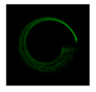 Photonics 08 00024 i092 Photonics 08 00024 i092