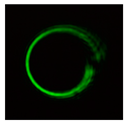 Photonics 08 00024 i093 Photonics 08 00024 i093