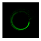 Photonics 08 00024 i094 Photonics 08 00024 i094