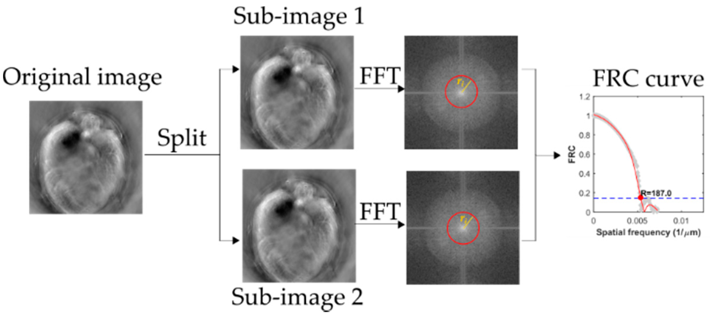 Photonics 08 00025 g002