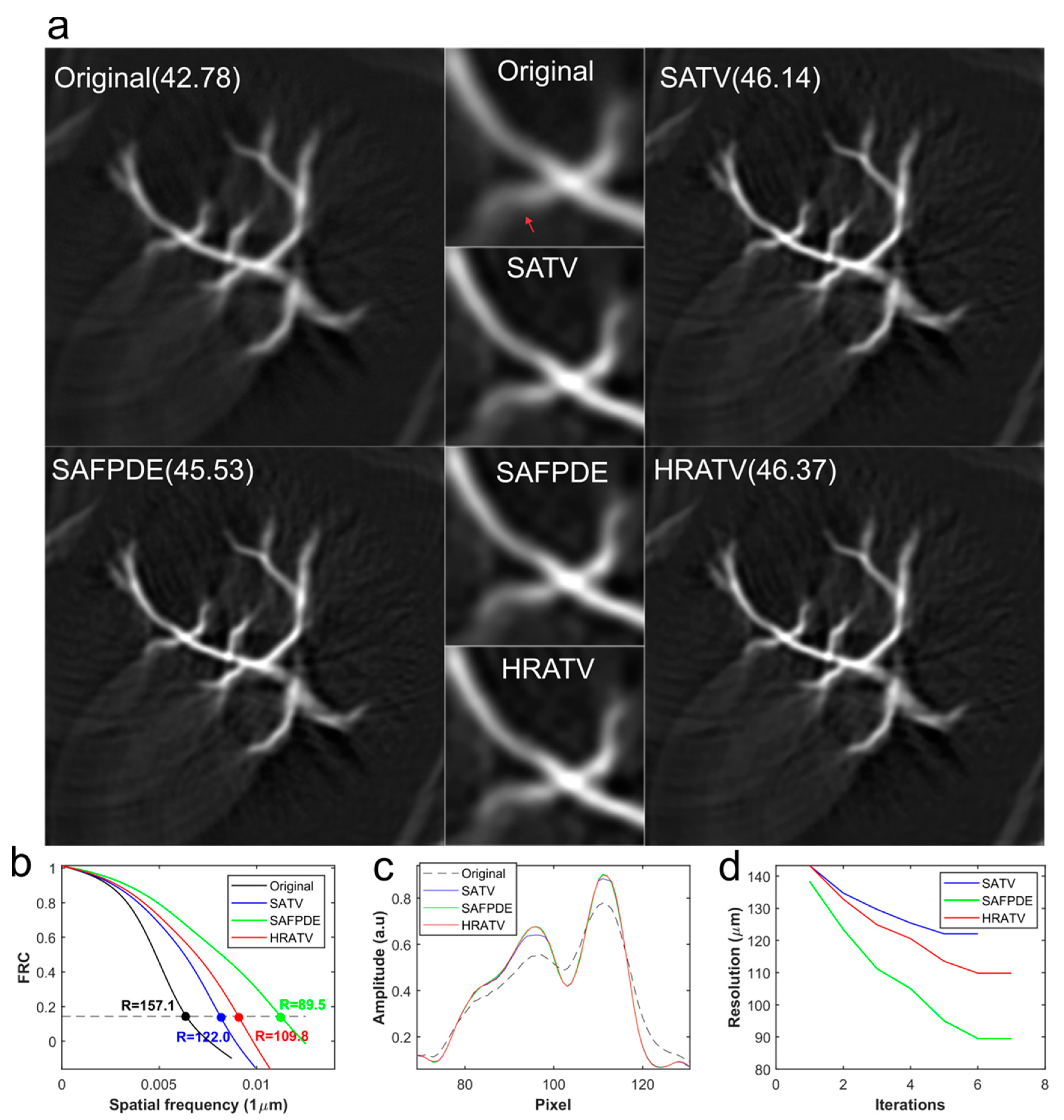 Photonics 08 00025 g006