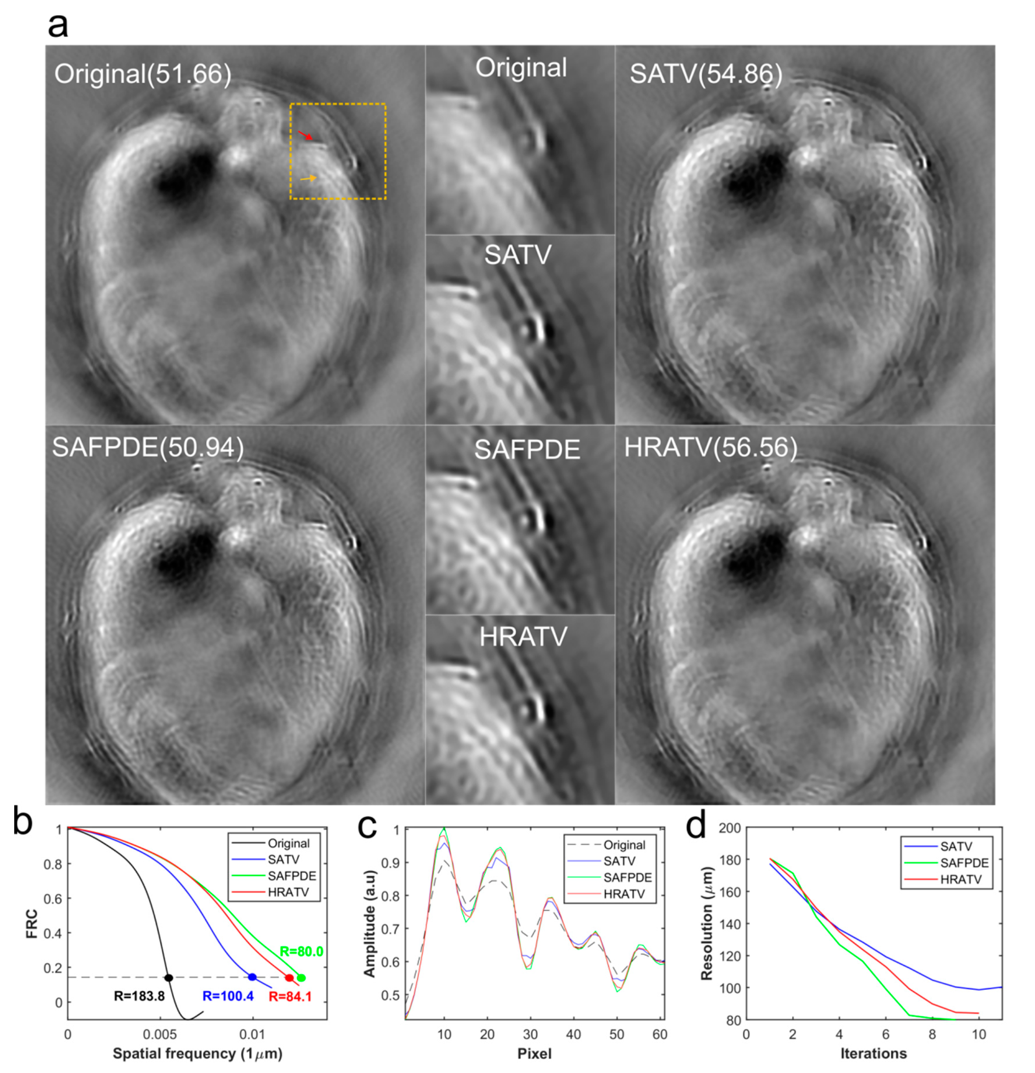 Photonics 08 00025 g007