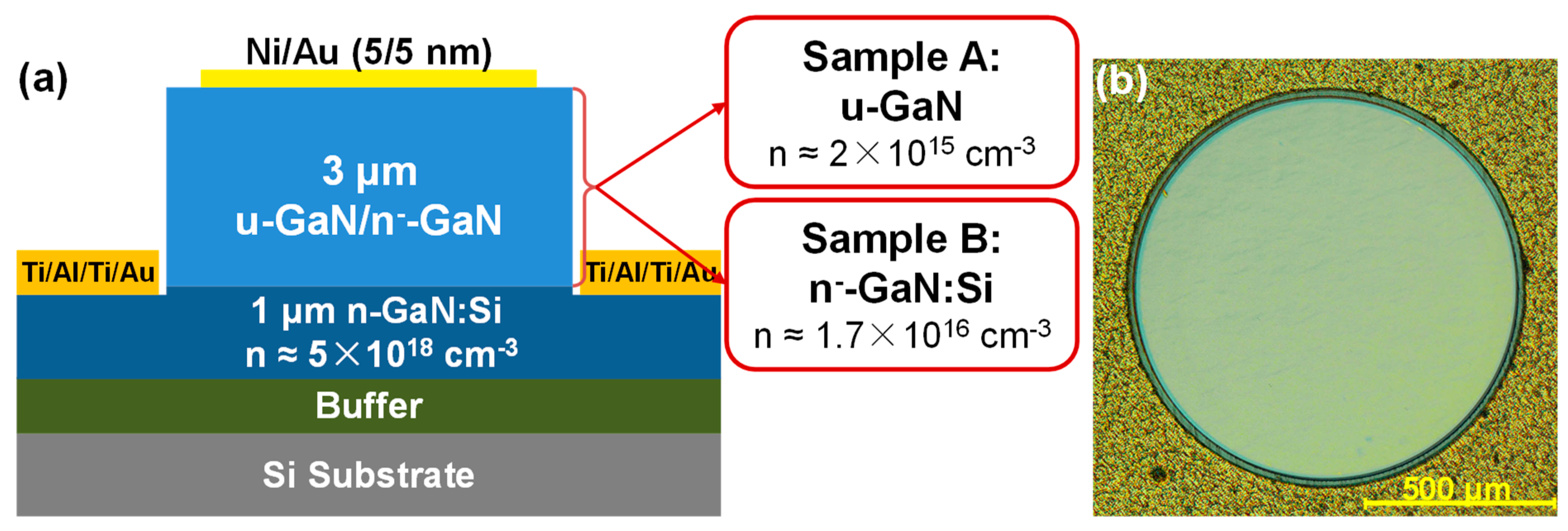 Photonics 08 00028 g001