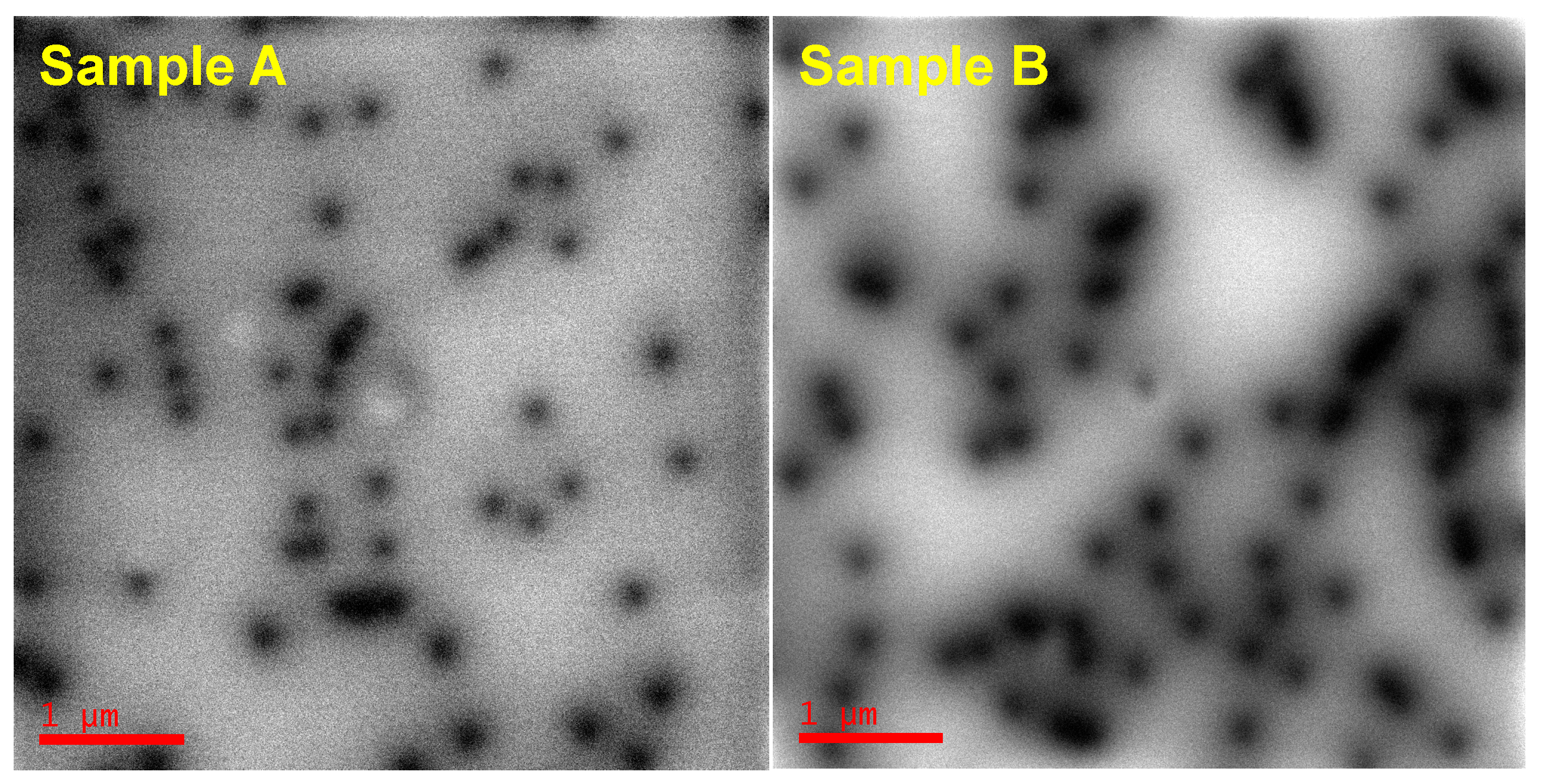 Photonics 08 00028 g002