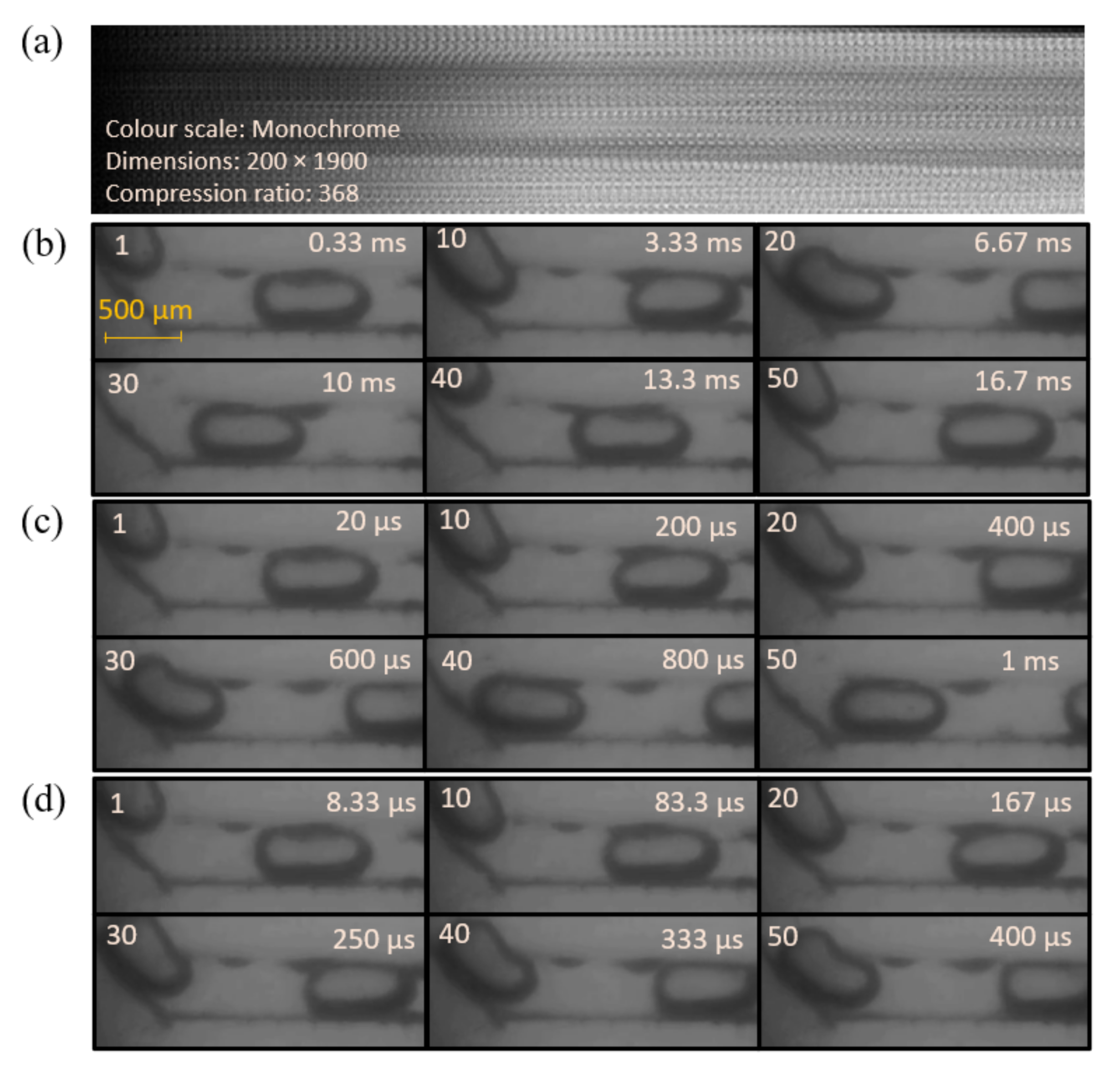 Photonics 08 00034 g003