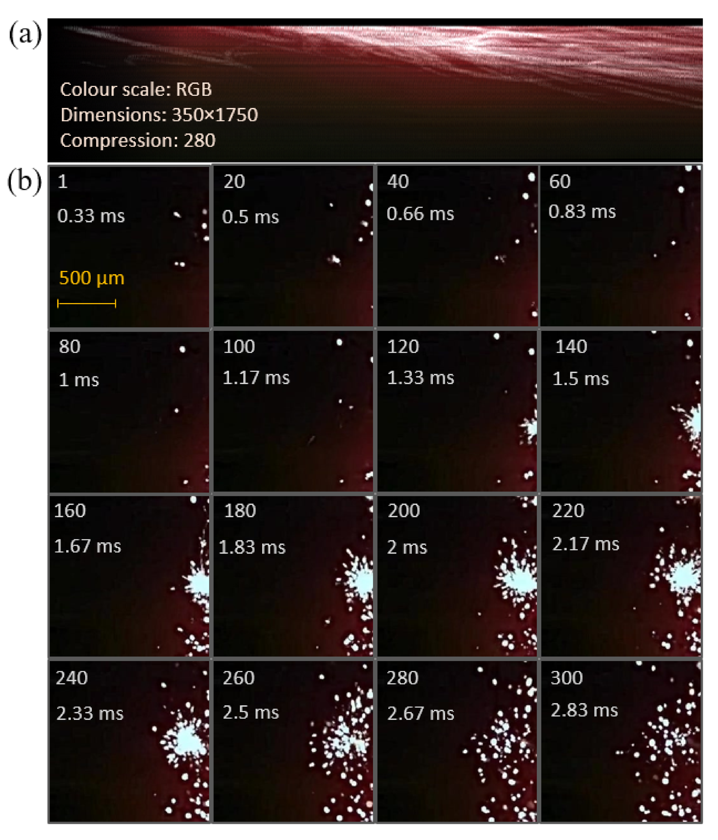 Photonics 08 00034 g004