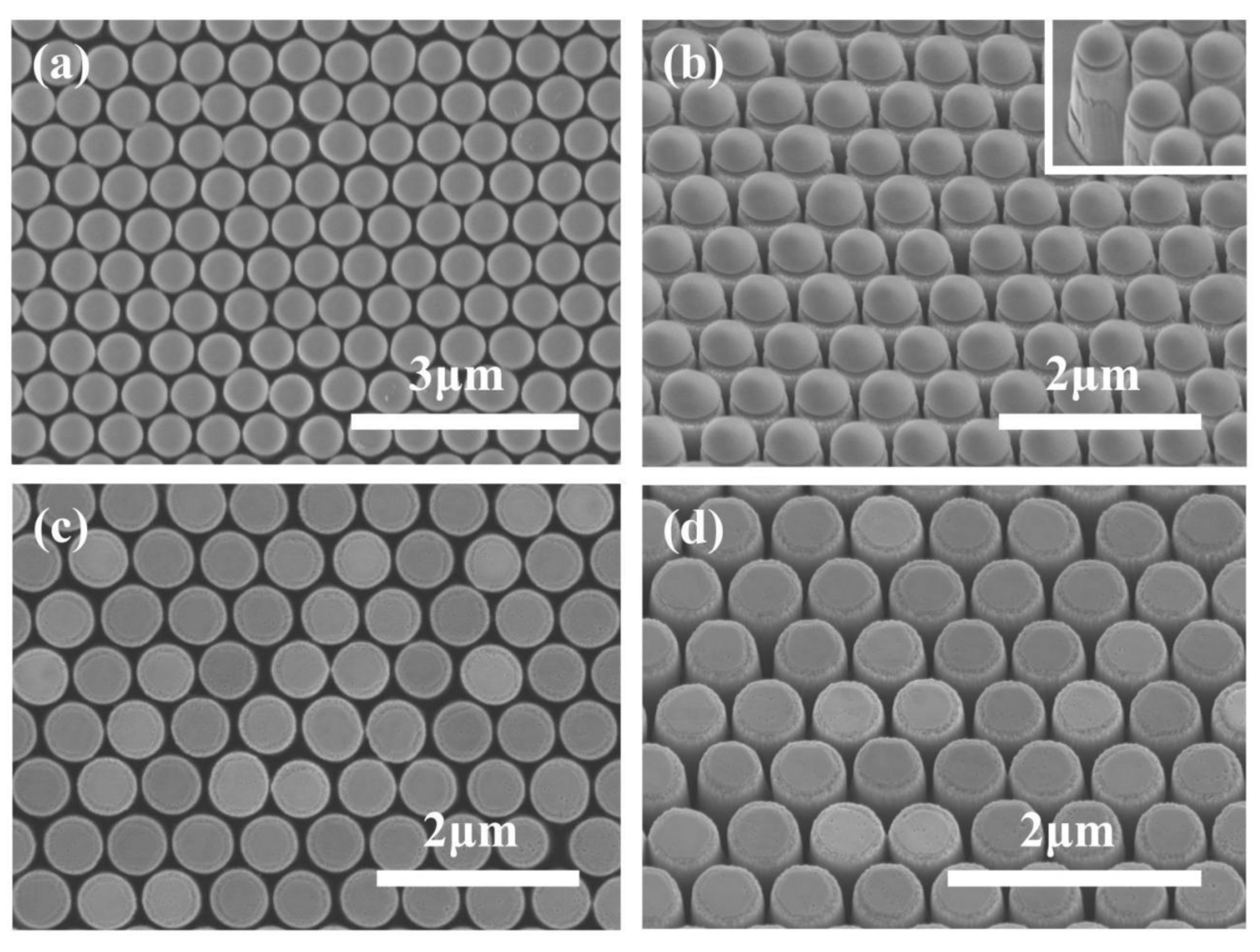 Photonics 08 00042 g002