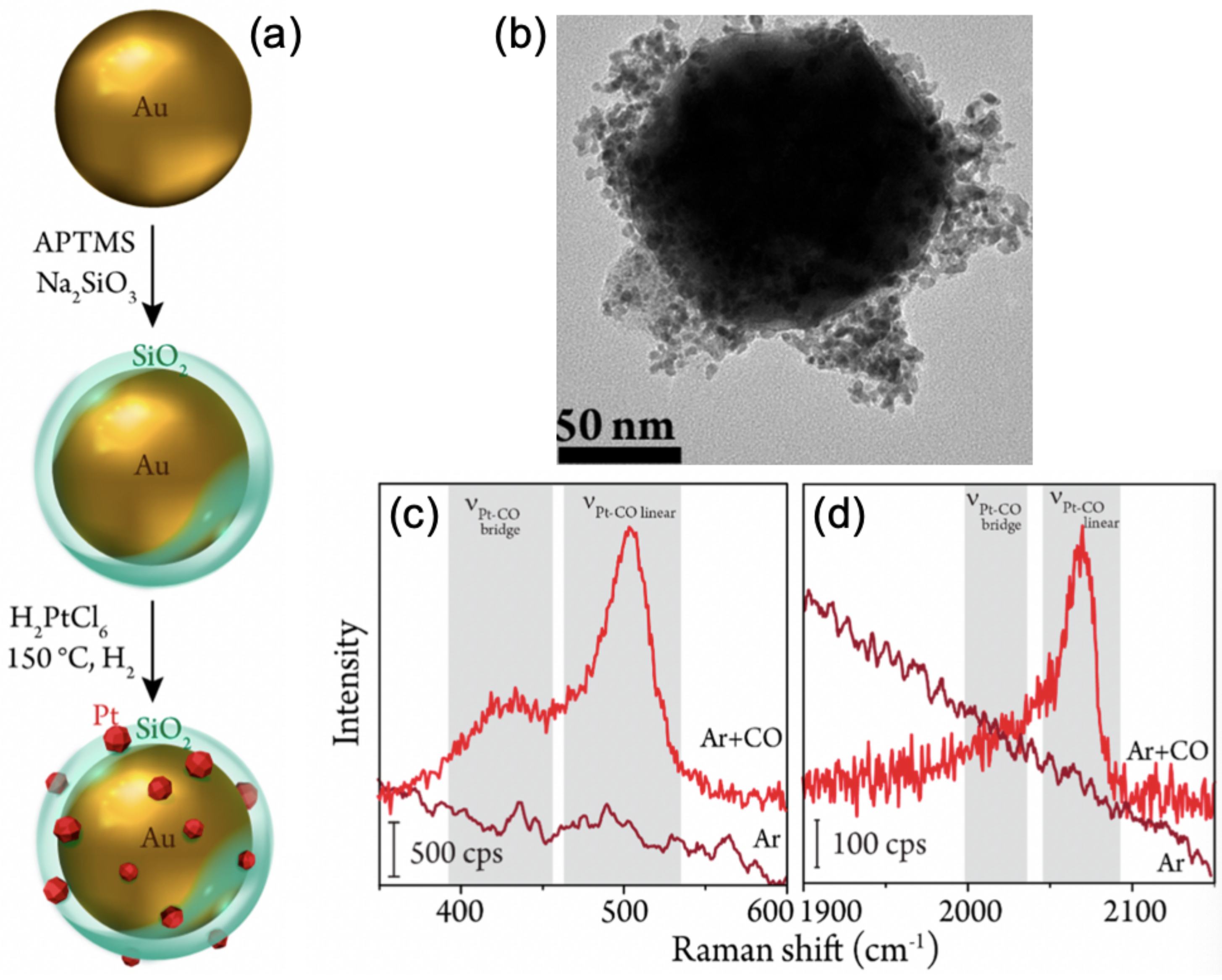 Photonics 08 00046 g002