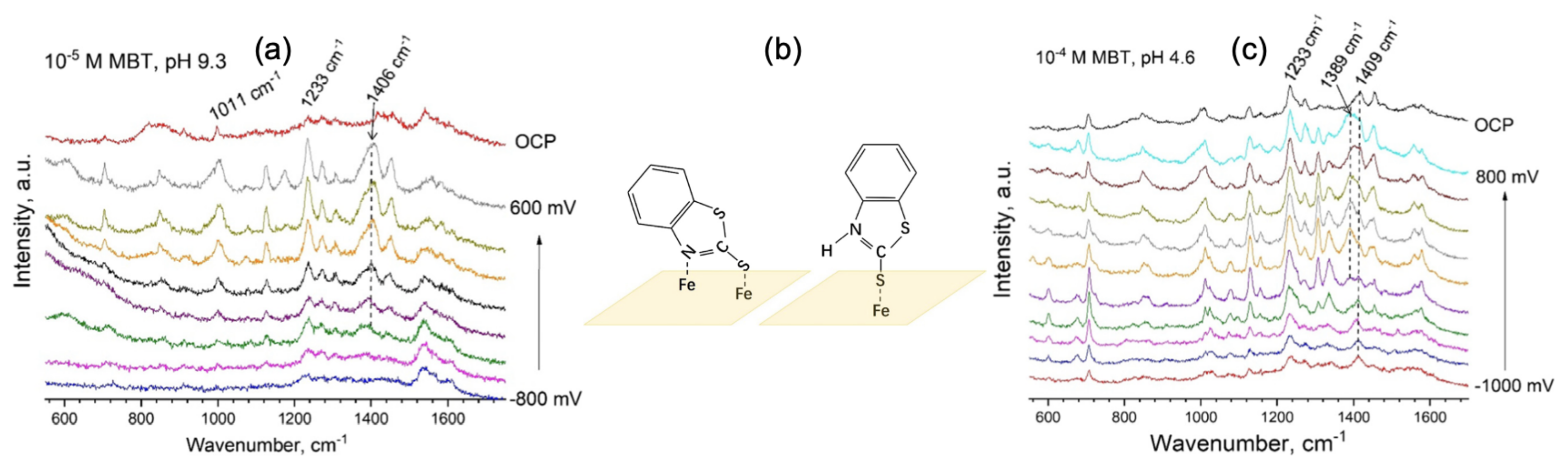 Photonics 08 00046 g003